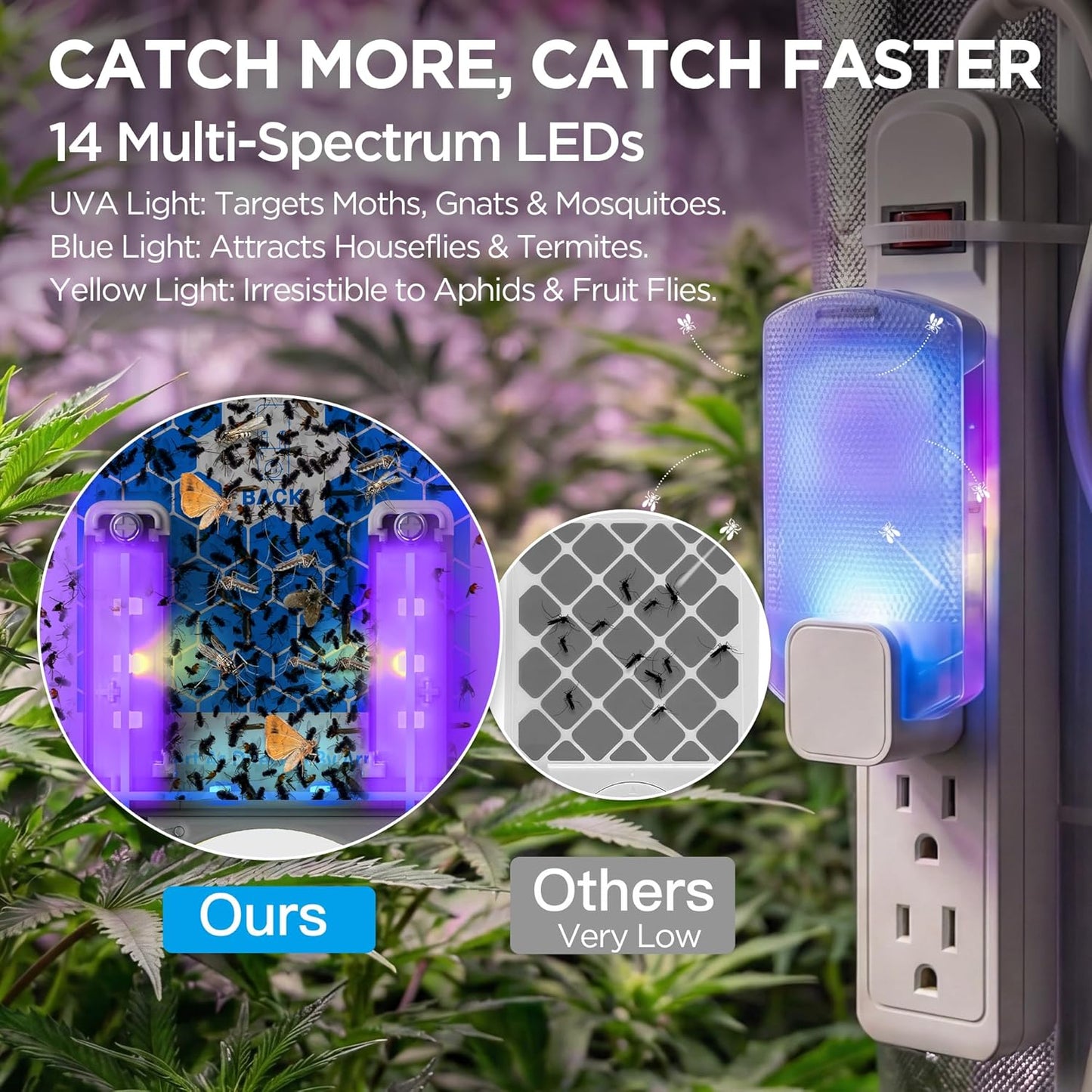 2 Flying Insect Traps+10 Refill Cartridges, 2026 2nd Gen, Fruit Fly Trap Indoor, Gnat Killer Plug-in, Multi-Spectrum LED Flying Insect Trap, No-Mess Bug Zapper, 7*24hrs Pest Control, Plant & Pet Safe