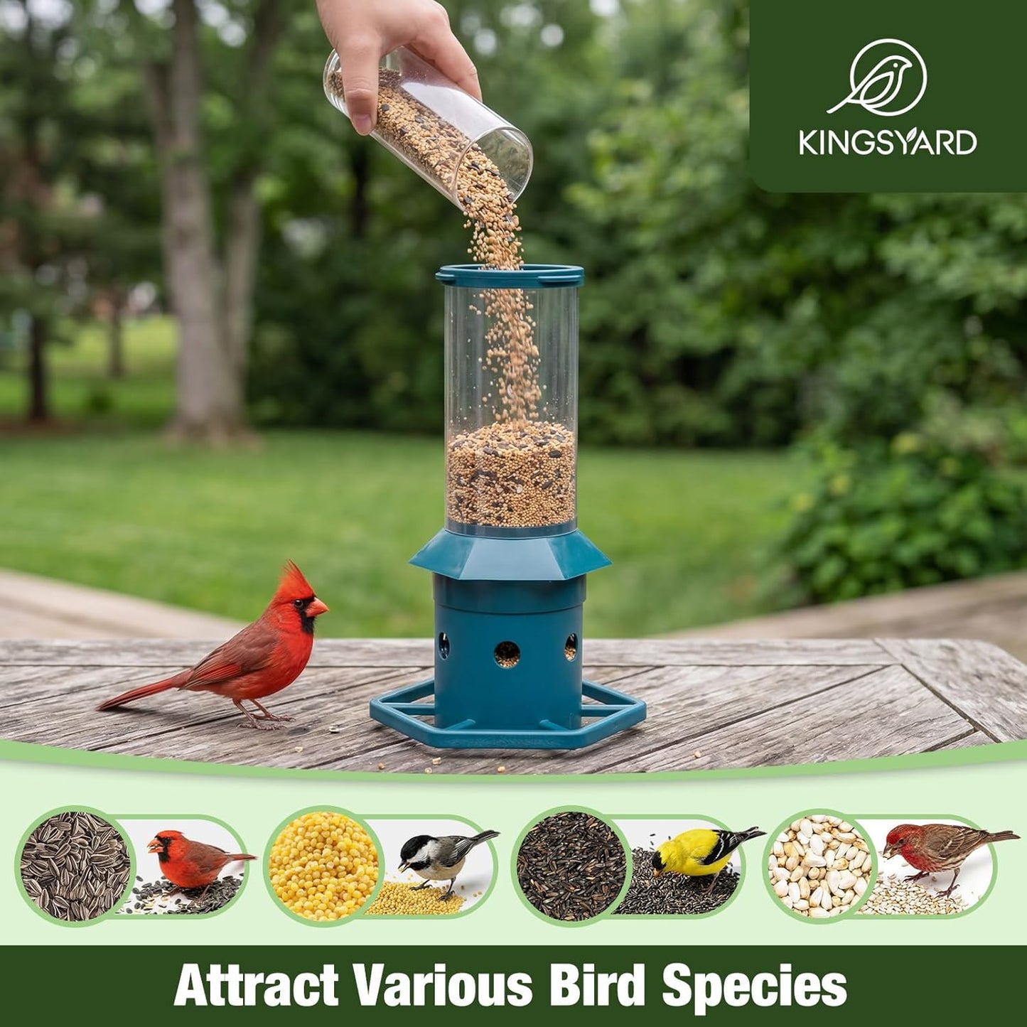 Kingsyard Squirrel-Proof Bird Feeder with Adjustable Weight-Activated Perch, Wild Bird Feeders for Outdoors Hanging, Weatherproof & 4 lb Large Seed Capacity, Dark Green