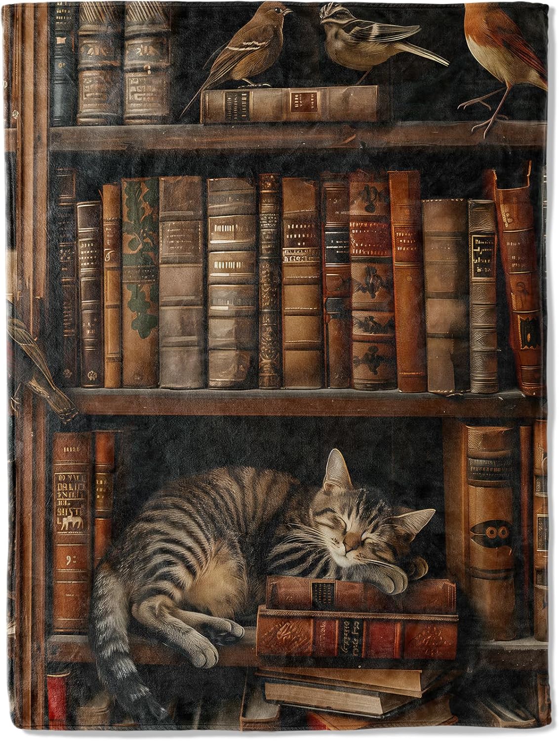 Book Flannel Blanket - Adorable Cat Napping on Bookshelf Throw,Playful Gifts for Adult & Library Lovers, Ultra Soft & Warm,Lightweight, for Couch Bedroom Living Room Modern Decor 60x80in