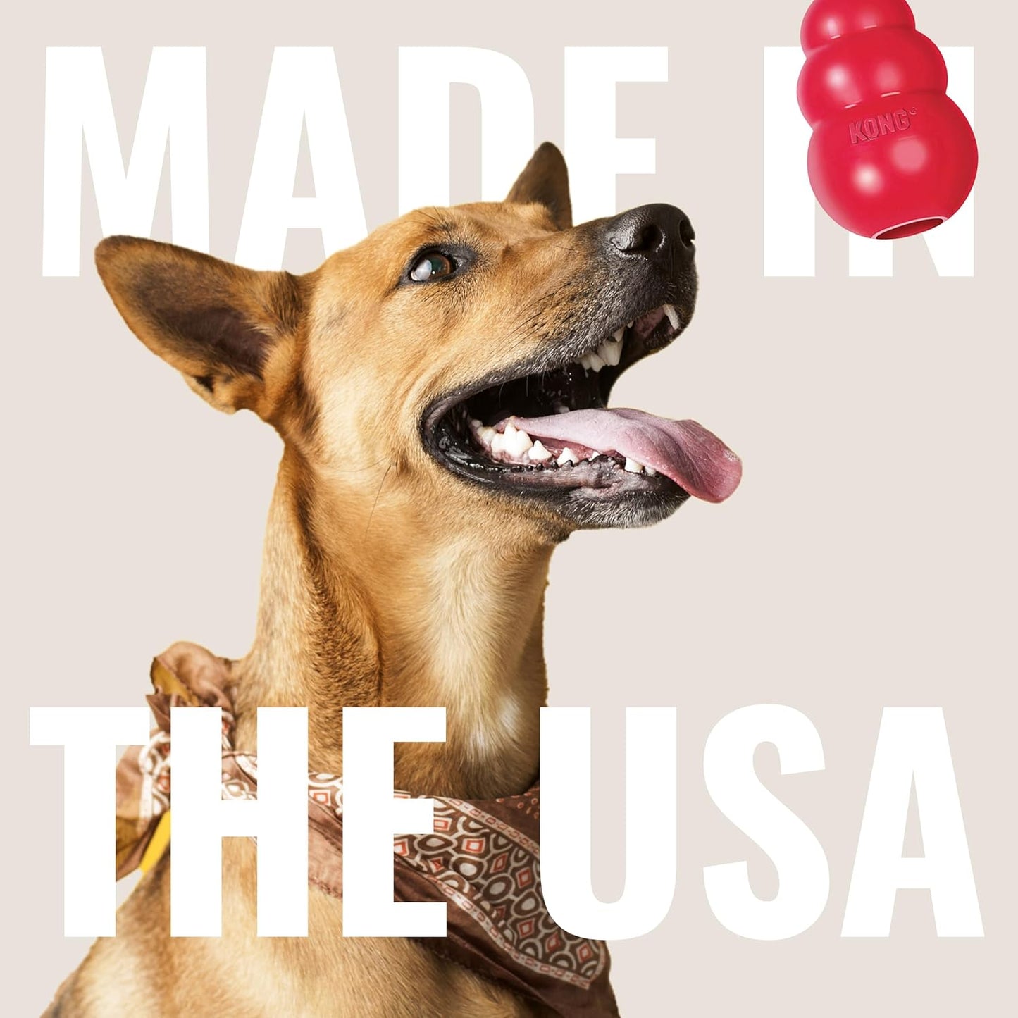 KONG Stuff-A-Ball - Durable, Natural Rubber Chew Toy for Dogs - Dental Health Pet Toy for Chewing & Teeth Cleaning - Stuffable for Treats & Snacks - for Large Dogs (Pack of 2)