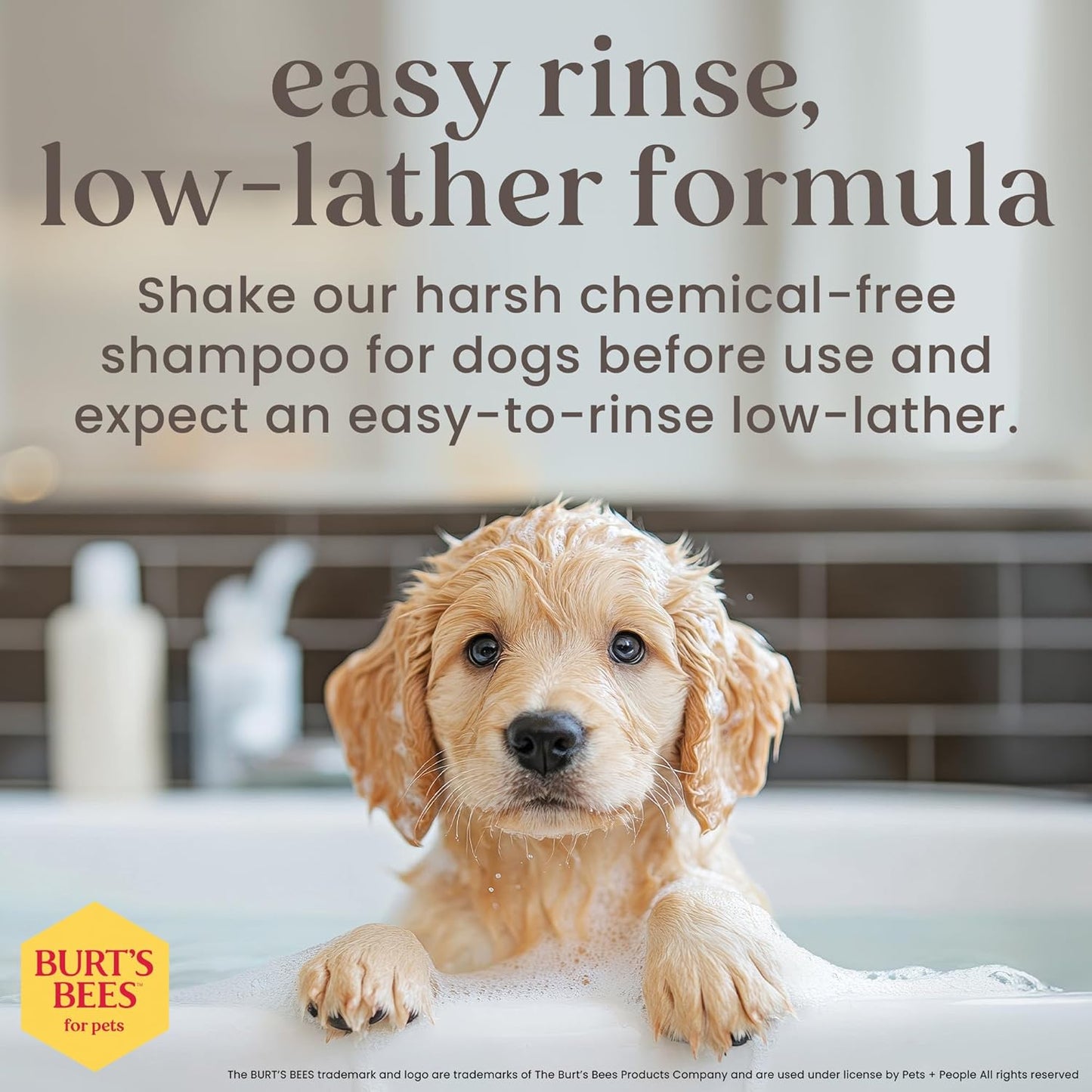 Burt’s Bees for Pets Tear Free Puppy Shampoo & Conditioner with Buttermilk, 2 in 1 Gentle Dog Shampoo for Puppies, Cleans and Conditions Sensitive Skin, 16 Fl Oz
