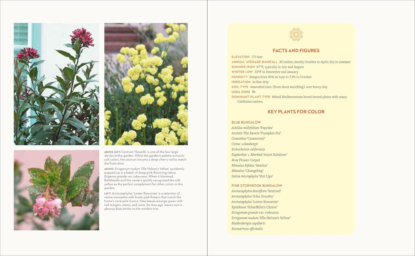 Hot Color, Dry Garden: Inspiring Designs and Vibrant Plants for the Waterwise Gardener