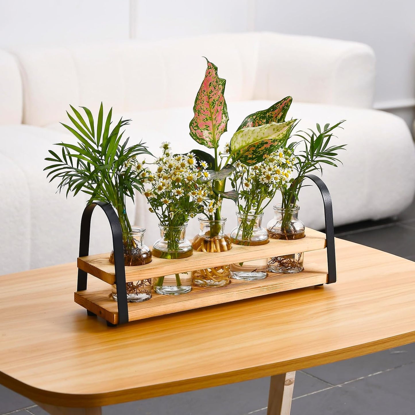 Plant Propagation Station with Wood Stand, Desktop Terrarium for Hydroponic, Flower Vase for Home, Kitchen, Office Decor, Plants Lover Gifts