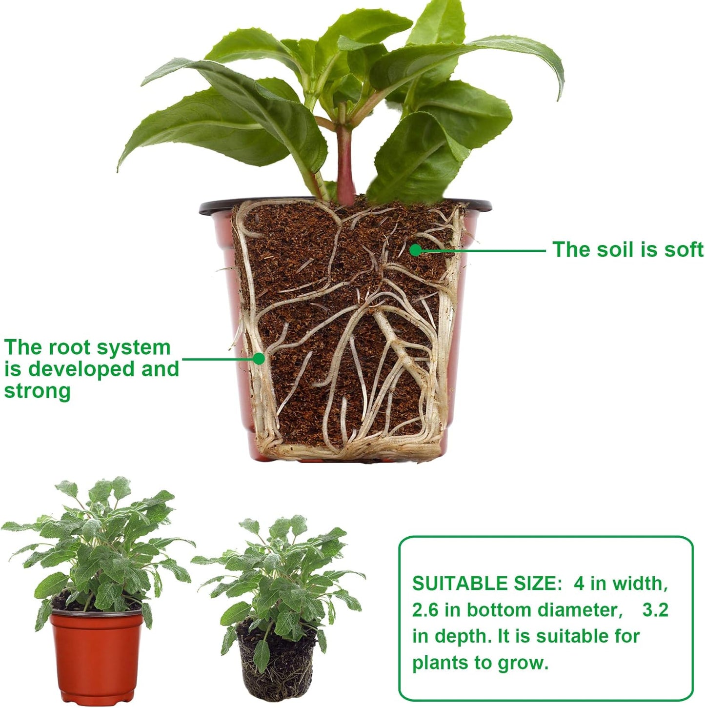 Augshy Nursery Pot, 110 Pcs 4" Plastic Plants Pot,Seed Starting Pots, Indoor Outdoor Seeding pots