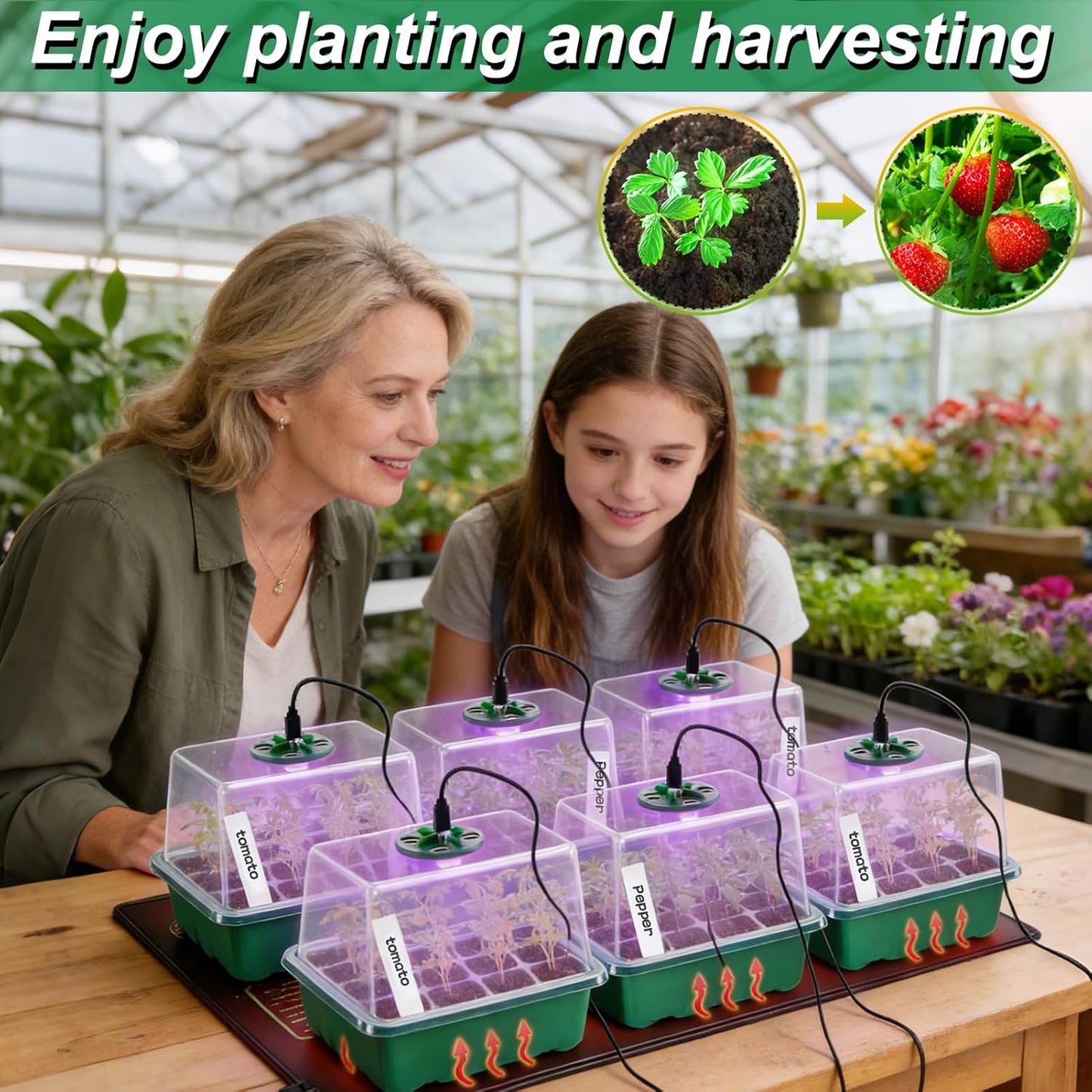 Apipi Seed Starter Tray with Grow Light & Heat Mat- 6 Pack 72 Cell Durable Easy Use Seed Starter Kit for New Gardener, Rapid Seedling Germination Kit with Humidity Domes for Plant Growing Propagation