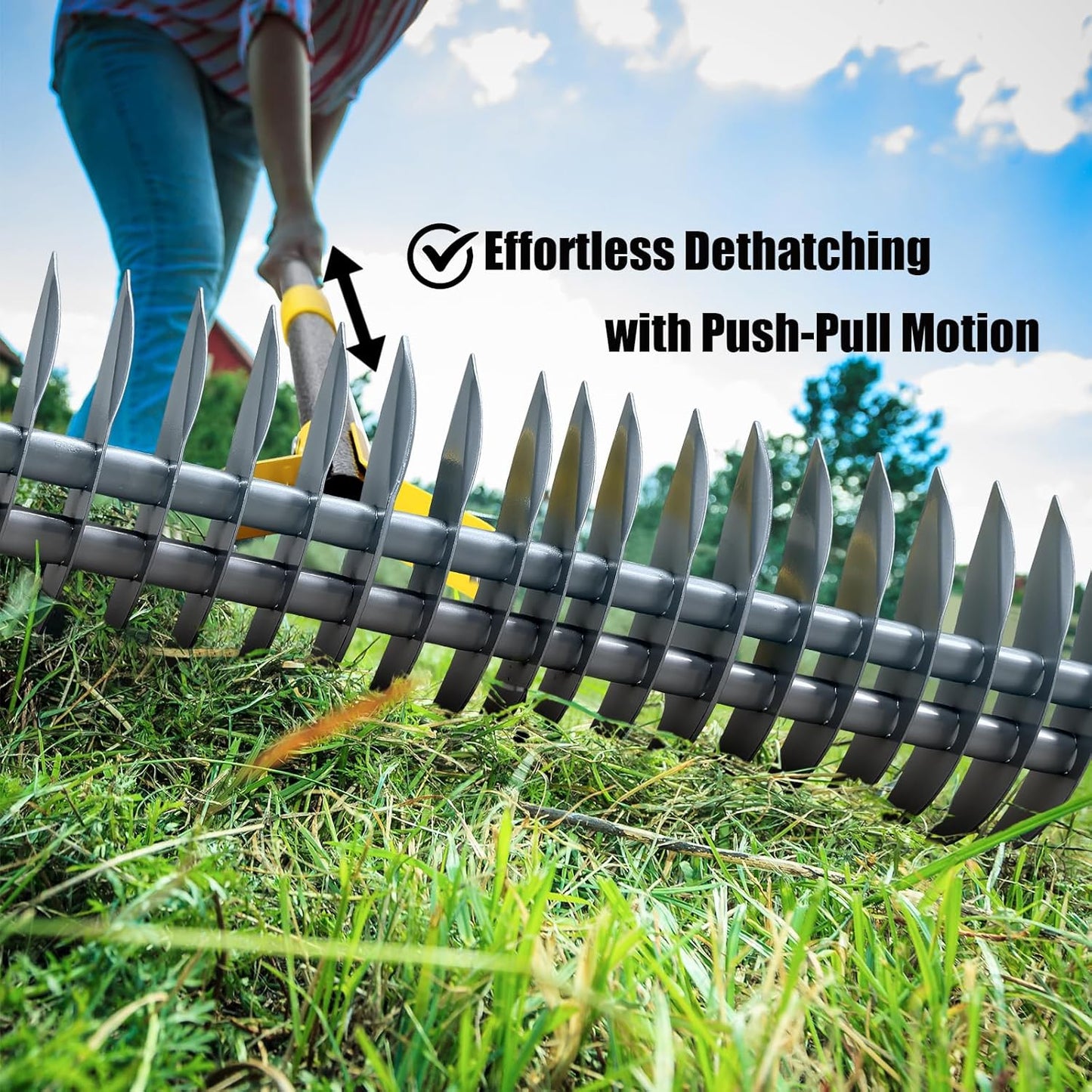 Dual-Action Thatch Rake for Lawn – Efficient 15" Thatching Rake with Sharp Dethatching Blade,Manual Dethatcher & Scarifier Tool for Dead Grass Removal,Soil Loosening,Garden Yard Lawn Care,55" Long