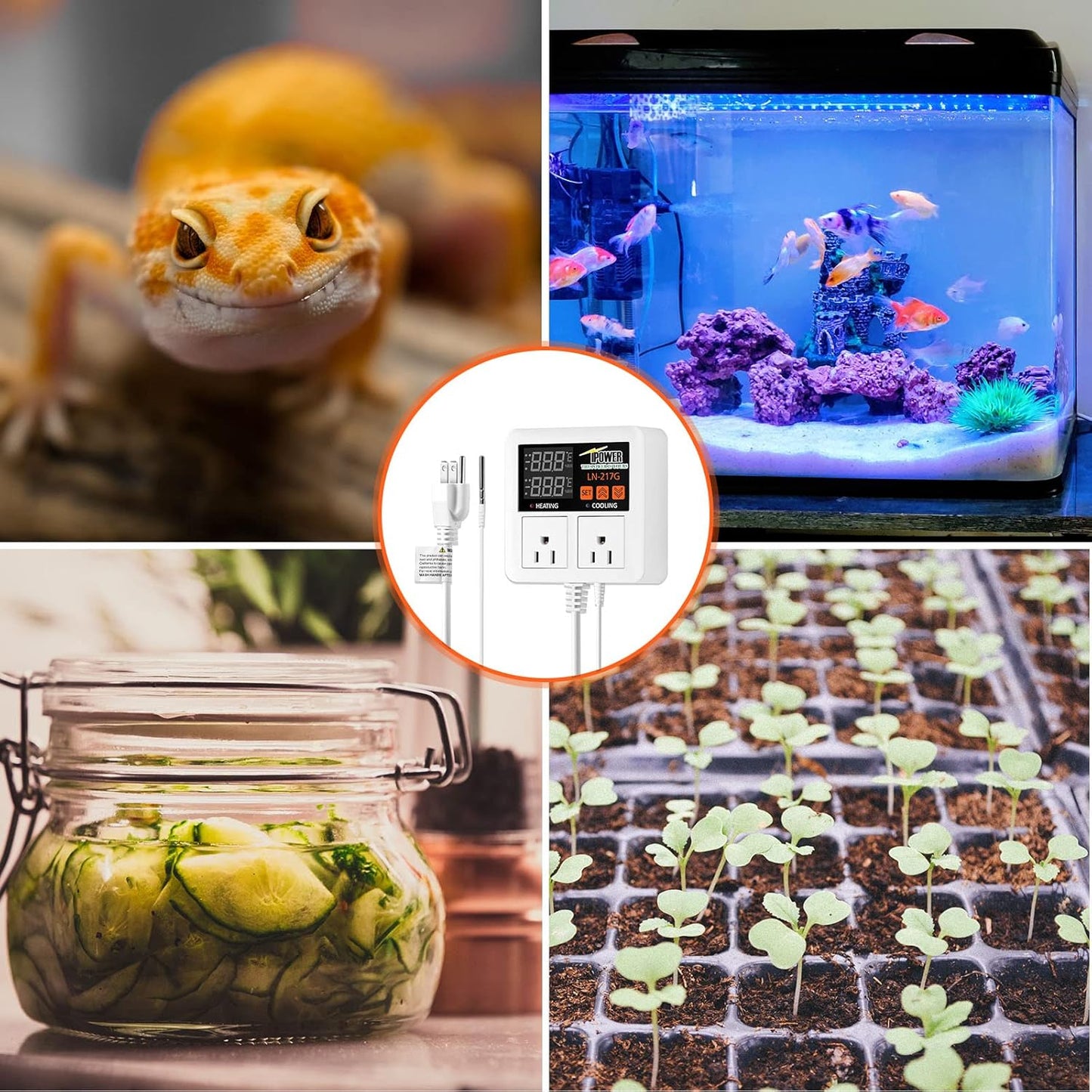 iPower Temperature Controller 1200W 10A Dual Digital Outlet Thermostat Plug, Pre-Wired, 2 Stage Heating and Cooling Mode, Fermentation BBQ Reptile Aquarium, 2 Pack