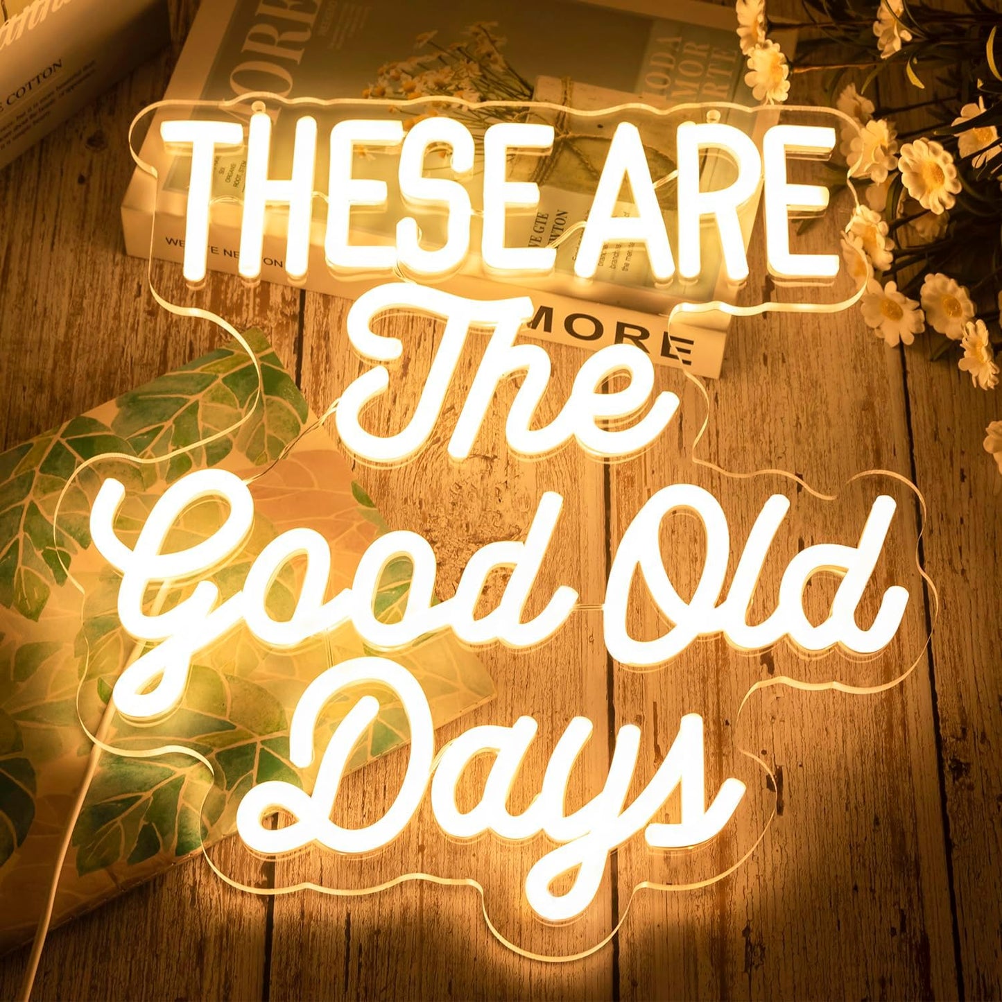These Are The Good Old Days Neon Sign Dimmable Neon Signs for Wall Decor Inspirational LED Signs USB Light Up Sign for kids Girl Boy Room Wall Decor Nursery Bedroom Playroom Decoration Essentials