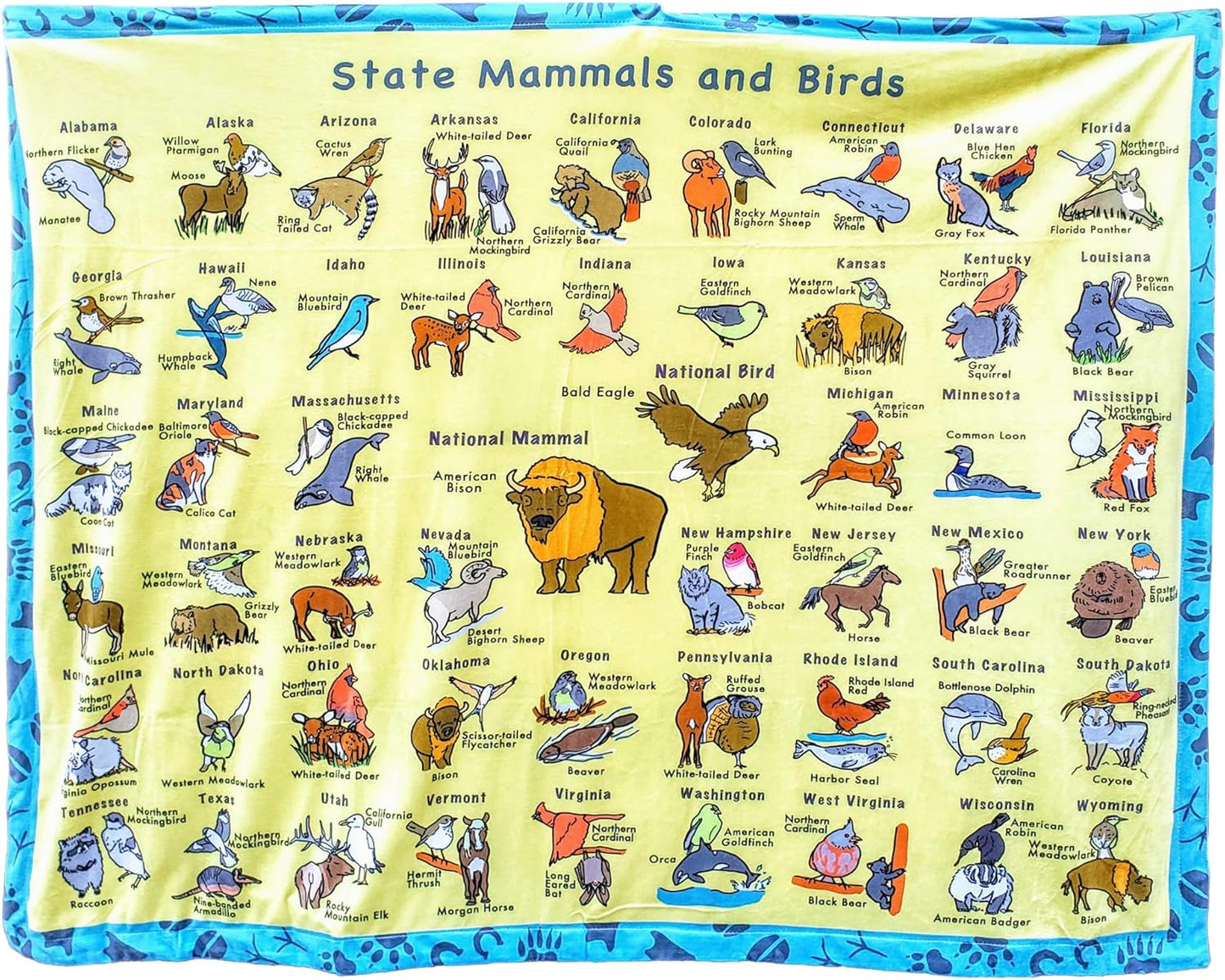 Birdy Boutique – 50 States Learning Blanket® – Double-Sided Throw – U.S. Geography Educational Blanket for Kids – Soft Minky Fleece 50" x 60" PreschoolBlanket – USA Map & State Facts for Toddlers