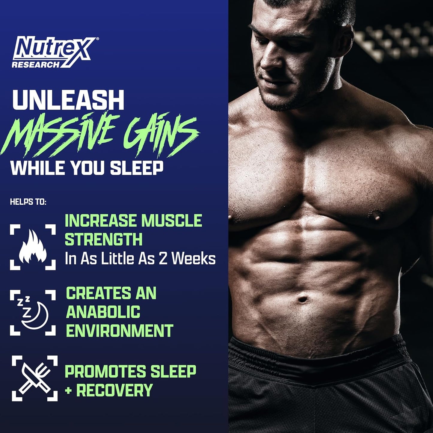 Anabol PM Nighttime Muscle Builder & Sleep Aid | Anabolic Muscle Building Supplement | Clinically Researched RIPFACTOR, Epicatechin & More | Post Workout Muscle Recovery & Strength – 60 Pills