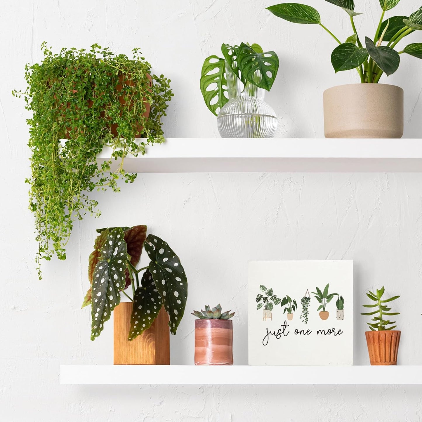Just One More Plant Wooden Signs For Home Decor,Just One More Plant Sign,Just One More Plant Gardening Desk Decor Sign For Office School Bedroom Home Decoration 5 x 5 Inches