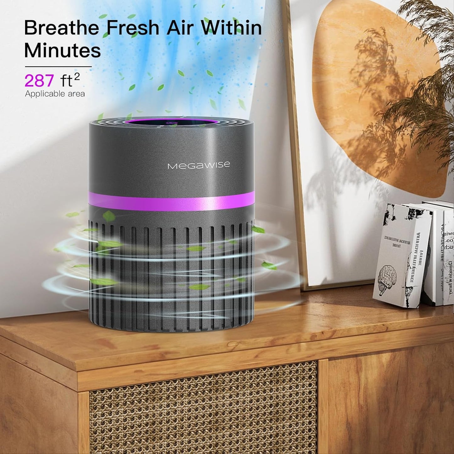 MEGAWISE Air Purifier for Home Bedroom Small Room Office, 3-IN-1 Filtration Air Cleaner for Smoke, Dust, Pet Dander, 100% Ozone Free, Available for California