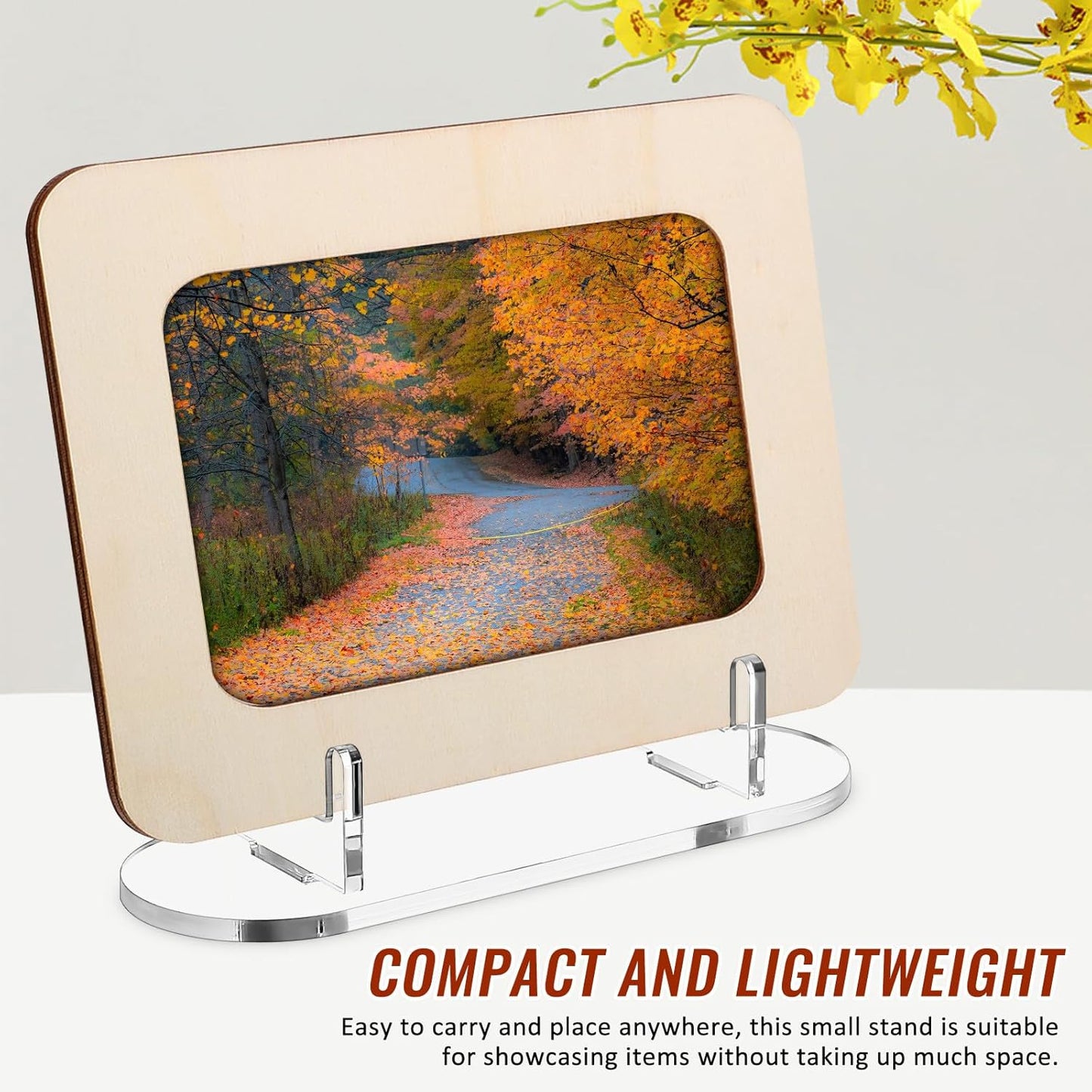 Cabilock Small Picture Display Stand, Clear Plate Holder Stand, Acrylic Easels Display Rack For for Weddings, Birthdays, Home Decoration, Tables Collections