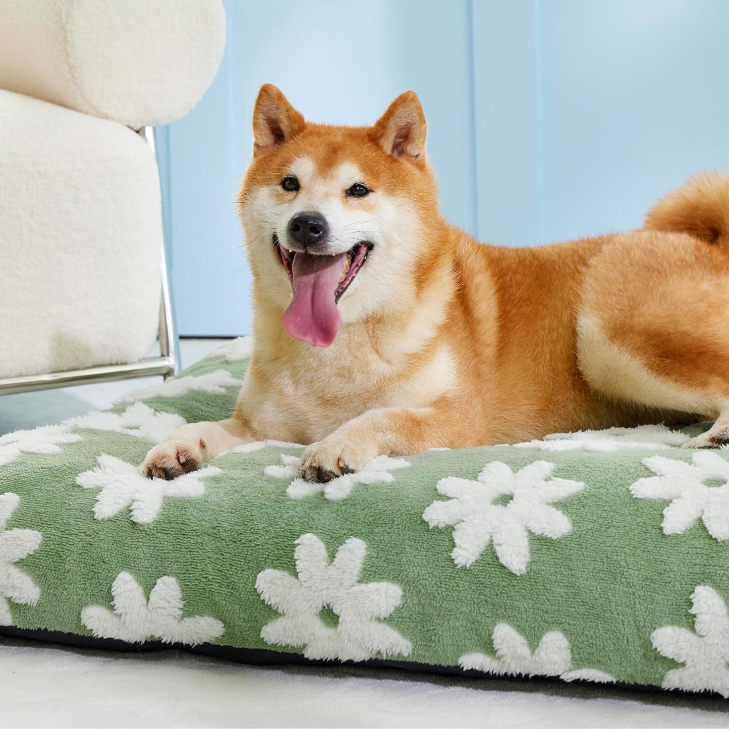 LE SURE Dog Beds Large Sized-Thick Shredded Chopped Foam Pet Bed Indoor as Bed Gift with Removable Cover, Cute Modern Fuzzy Plush & Anti Slip Bottom, Green