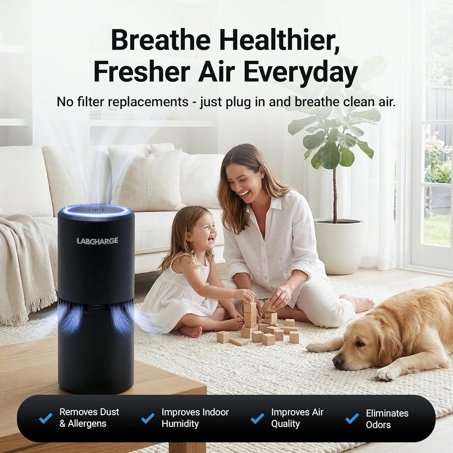 Lab Charge Small Ionic Air Purifier for Home & Bedroom – Silent HEPA Filter – Covers 250 Sq Ft - Free Cleaner for Pets, Hair, Smoke, Dust, Odors & Dander – Compact & Black Design - Pack of 4