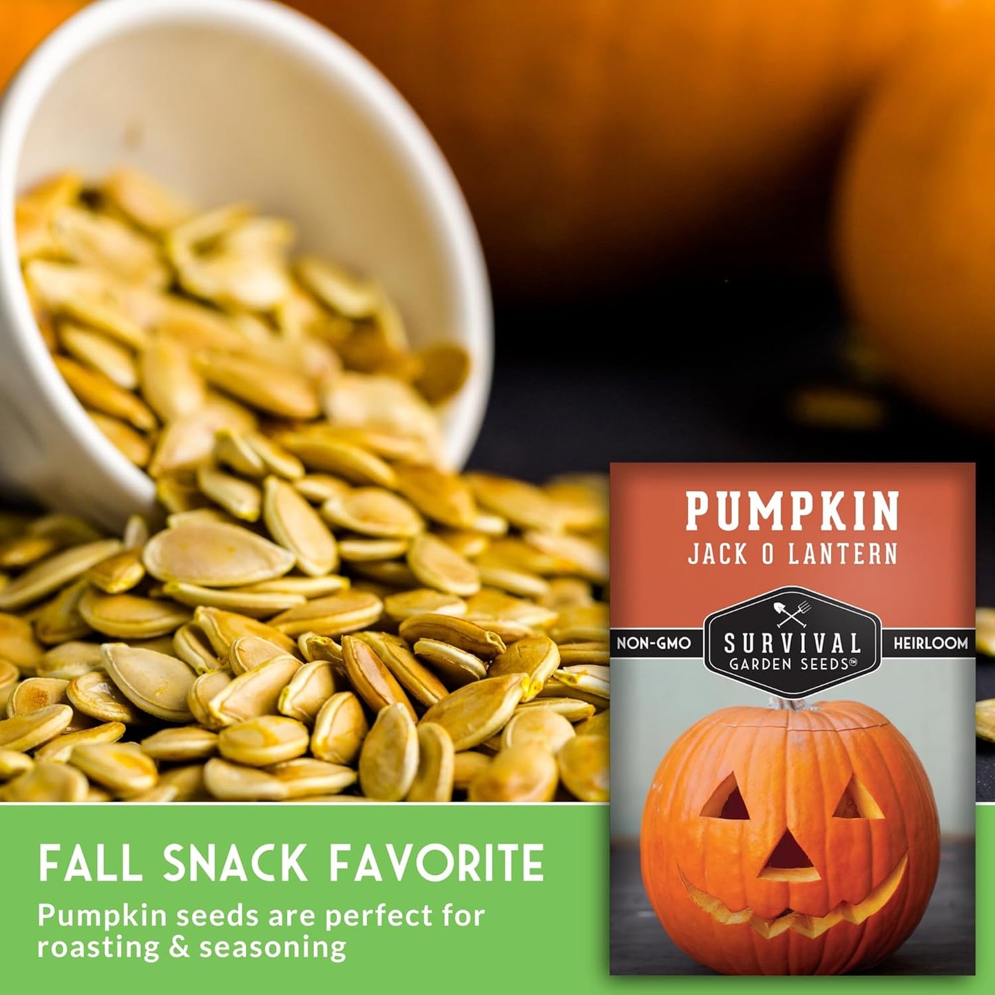 Jack O’ Lantern Pumpkin Seeds for Planting | Heirloom Carving Pumpkins for Halloween, Fall Harvest Decor – Non-GMO Variety – Survival Garden Seeds (1 Pack)