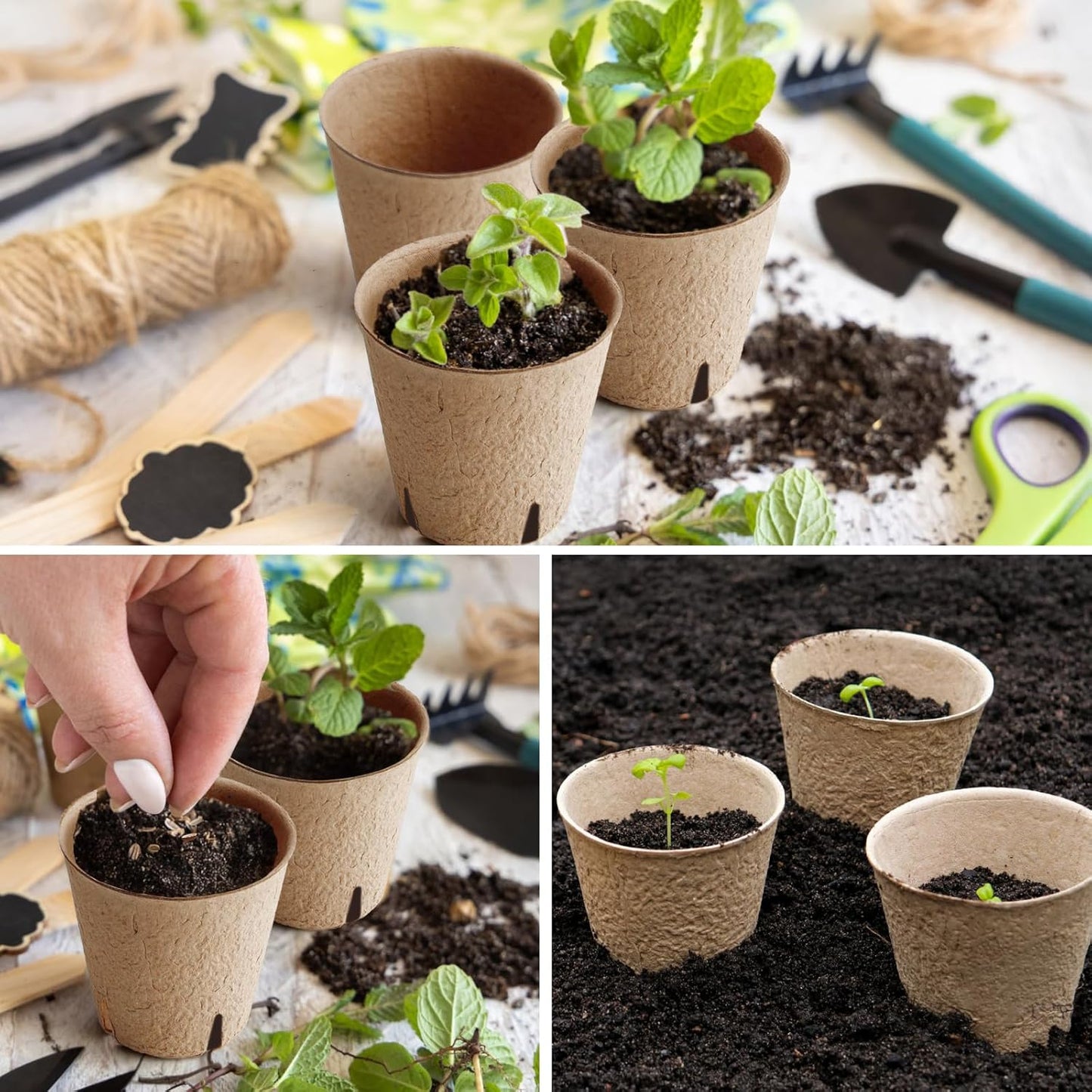 150 Pcs Peat Pots 3.15 Inch Seed Starting Pots with Drainage Holes, Round Garden Plant Nursery Pots wit 30 Plant Labels, 2 Transplant Tools.