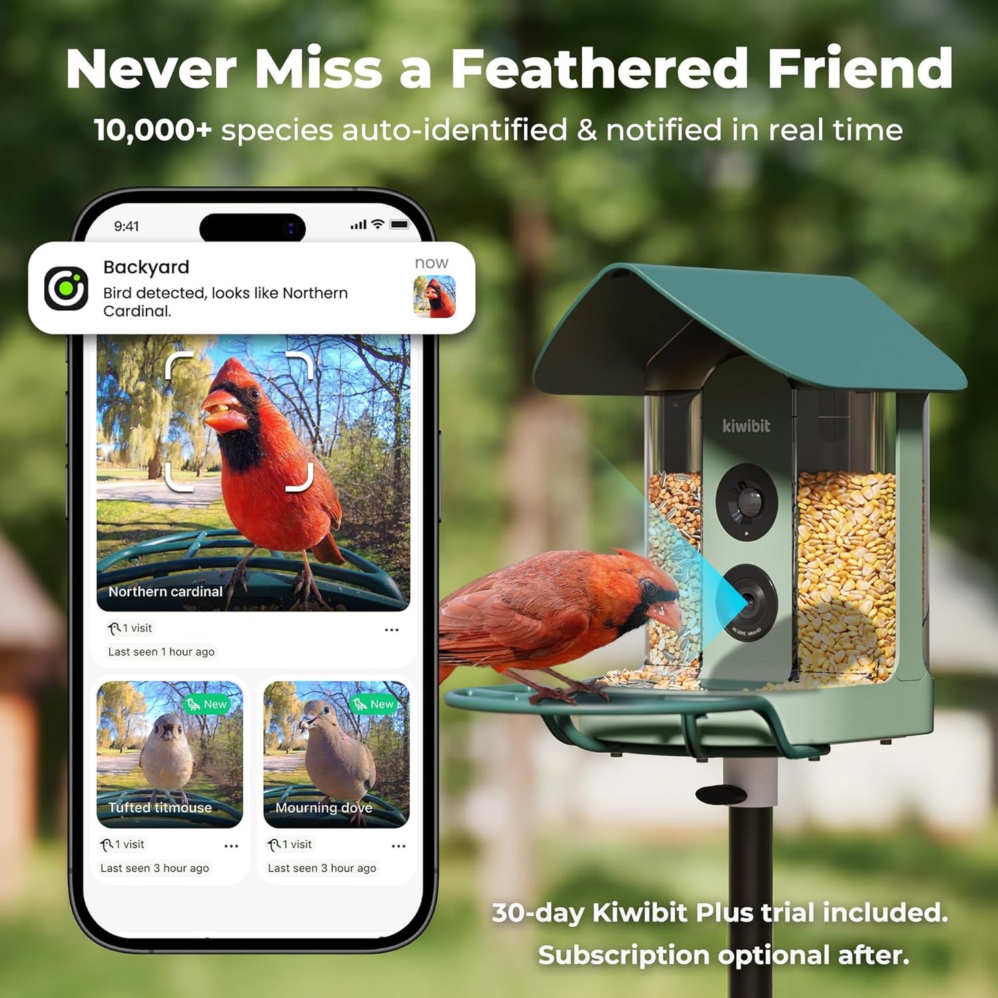 Smart Bird Feeder 4K AI Camera With Solar Panel For Outdoors, Bird Species Identification, 8MP Photos, 4K Video Livestream, Real-Time Bird Alerts, Birdwatching Gifts For Bird Lovers, Sage Pine