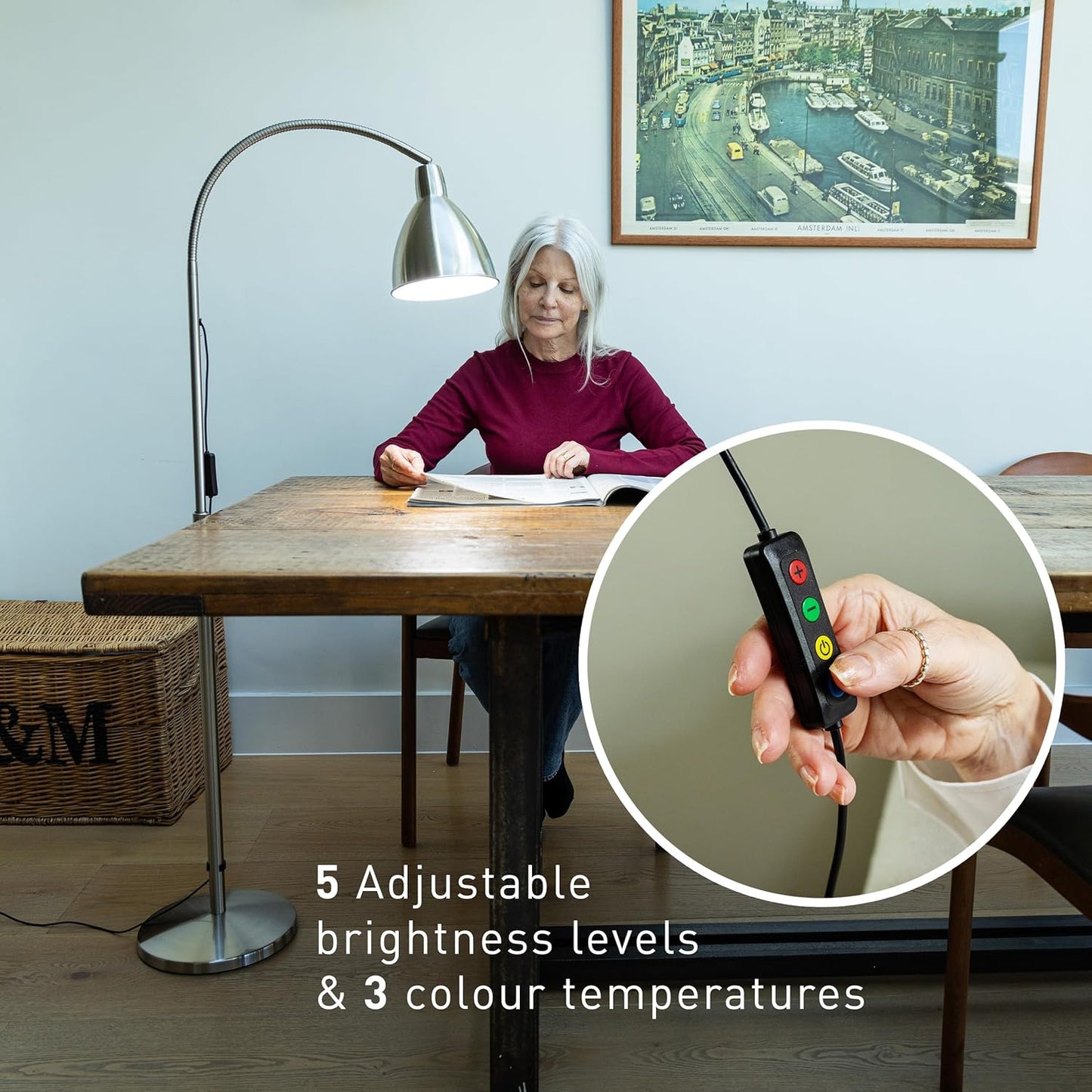Daylight FlexiVision 2™ LED Floor Lamp – 3,500 Lux at 12", 5 Brightness Levels, 3 Color Temperatures, 95+ CRI, Adjustable Arm & Swivel Head, Anti-Tip Base, Low Vision Aid – Brushed Steel