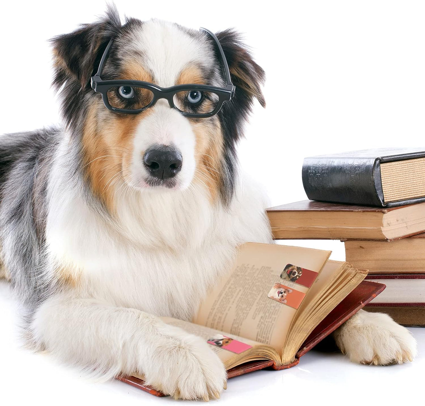 30 Pieces Magnetic Bookmarks Cute Dogs Magnetic Page Markers Pet Magnetic Page Clips Puppy Faces Bookmark for Students Teachers Kids School Home Office Reading Stationery, 15 Designs
