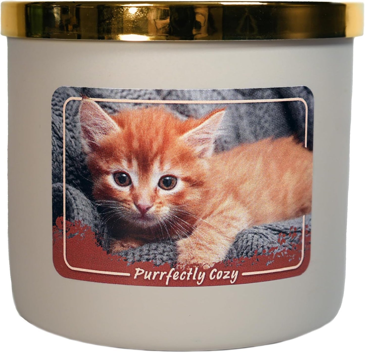 Colonial Candle Purrfectly Cozy Scented Jar Candle, 14 oz - Warm & Comforting Fragrance, Long-Lasting Burn, Made in The USA