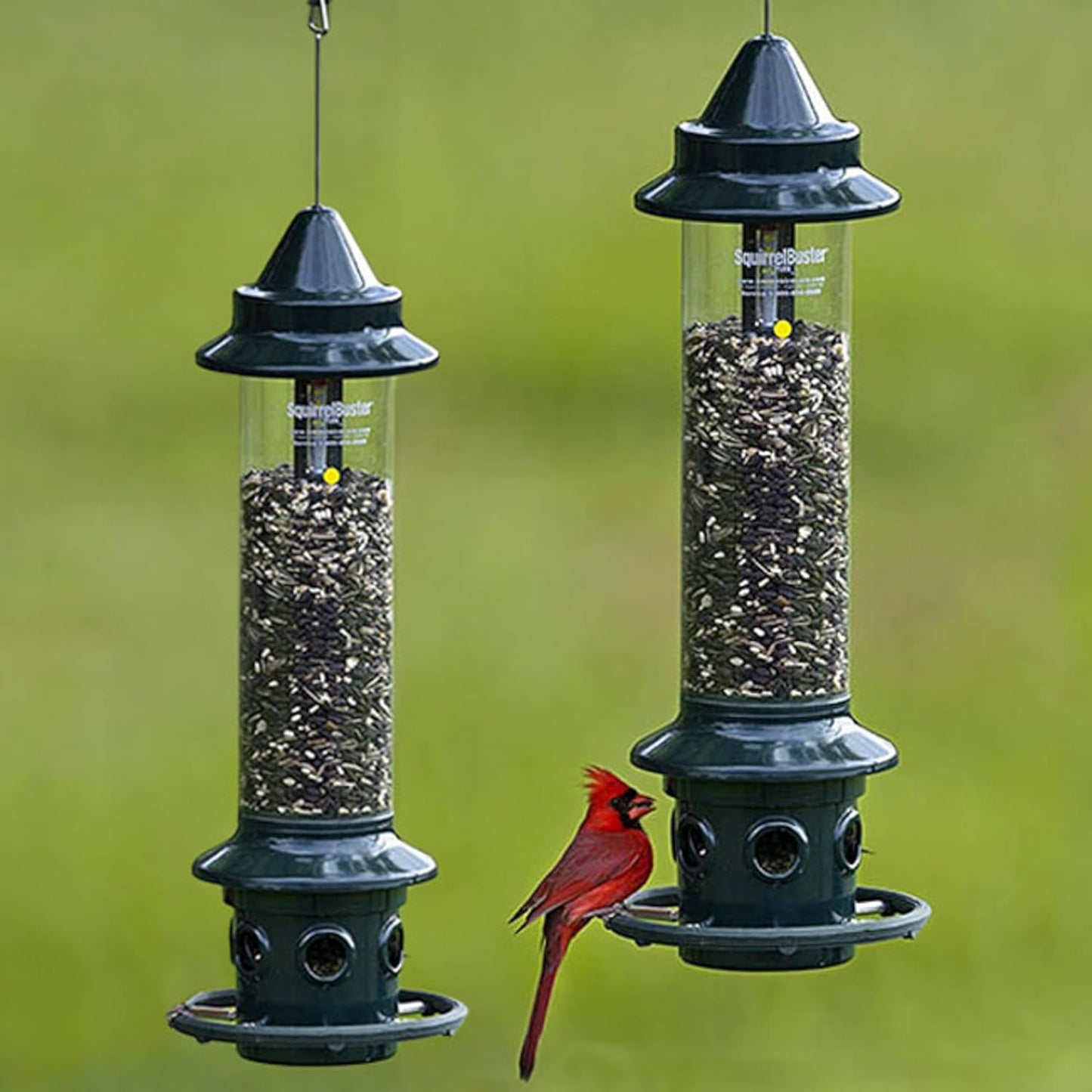 Brome,Squirrel Buster Plus 6"x6"x28" (w/hanger) Wild Bird Feeder with Cardinal Ring and 6 Feeding Ports, 5.1lb Seed Capacity, 2 Pack
