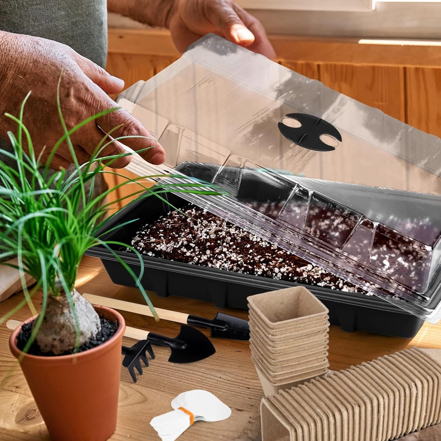 6 Pack Seed Starter Tray Kit with 120 Square Peat Pots for Seedlings, Including Plants Labels, Planting Tools, Growing Trays Plastic Germination Tray Paper Starter Pods for Plant Seeds, Black