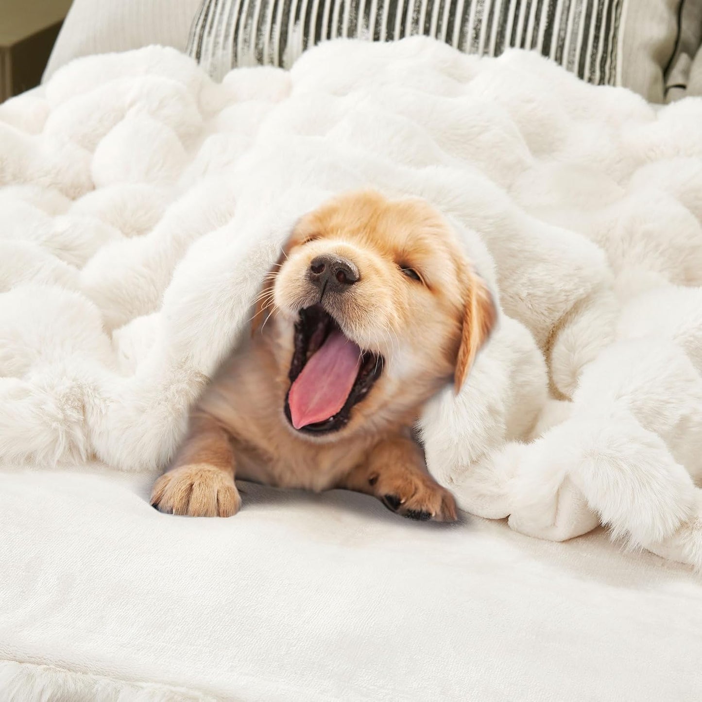 DREAMNINE Soft Faux Bubble Rabbit Fur Throw Blanket for Couch, Thick Cozy Decorative Warm Fuzzy Fur Blanket for Sofa Chair Bedroom Living Room Dorm Gift, 50 * 60 Inches, Cream White