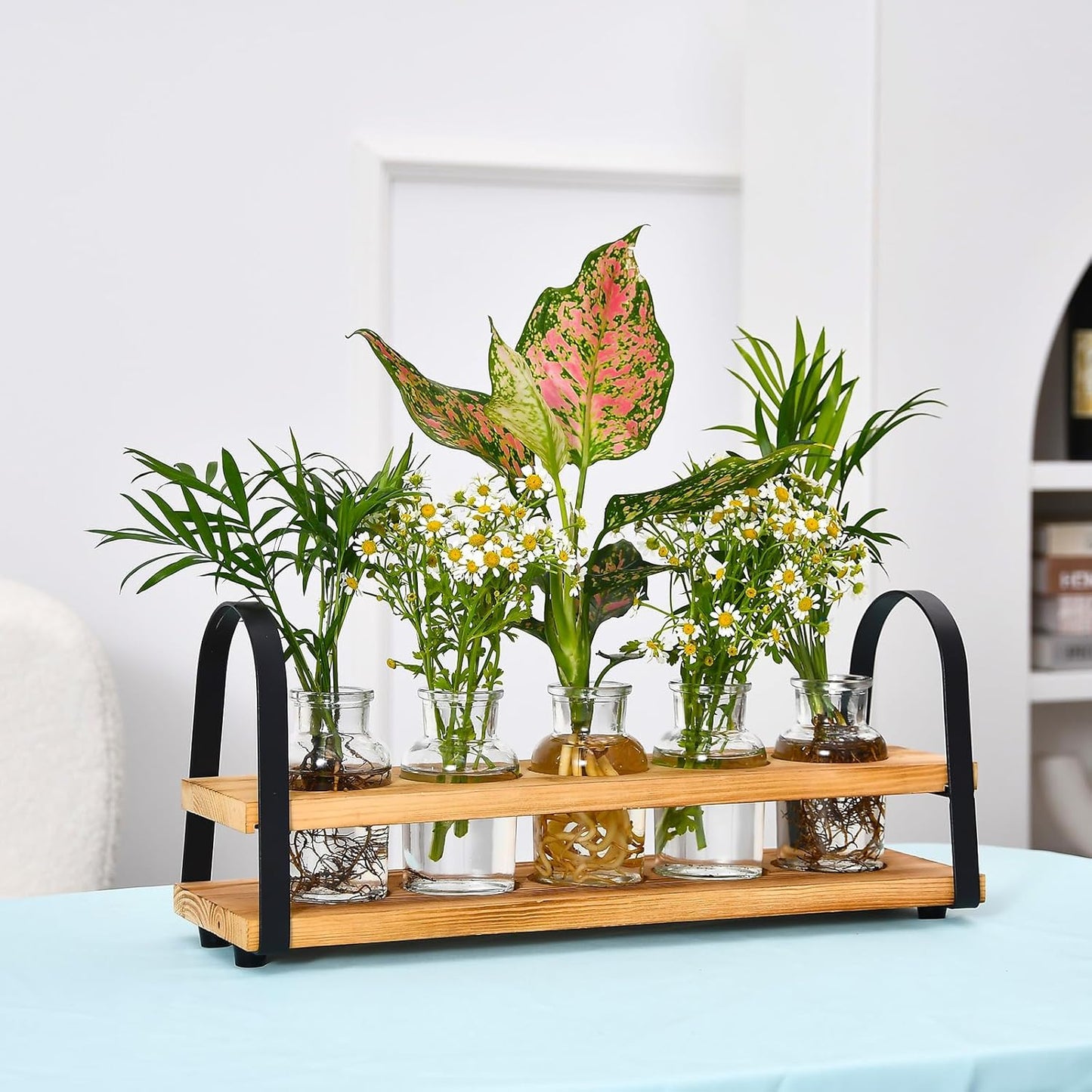 Plant Propagation Station with Wood Stand, Desktop Terrarium for Hydroponic, Flower Vase for Home, Kitchen, Office Decor, Plants Lover Gifts