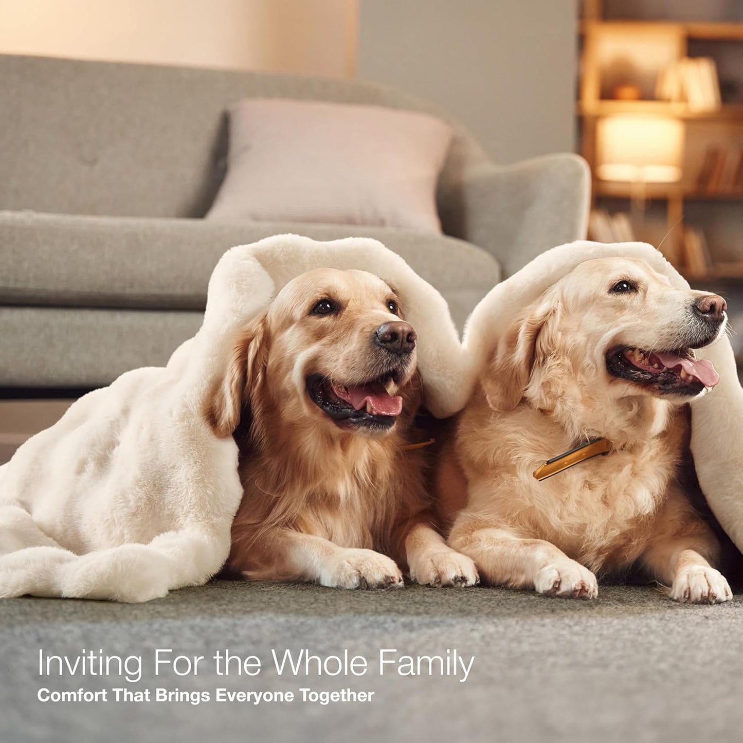 Luxury Ultra Soft Faux Fur Throw Blanket, 50x60 Inches Fluffy Plush Thick Bubble Blanket for Couch and Sofa, Premium Velvet Cozy Lola Fuzzy, 1000 GSM (Cream White)