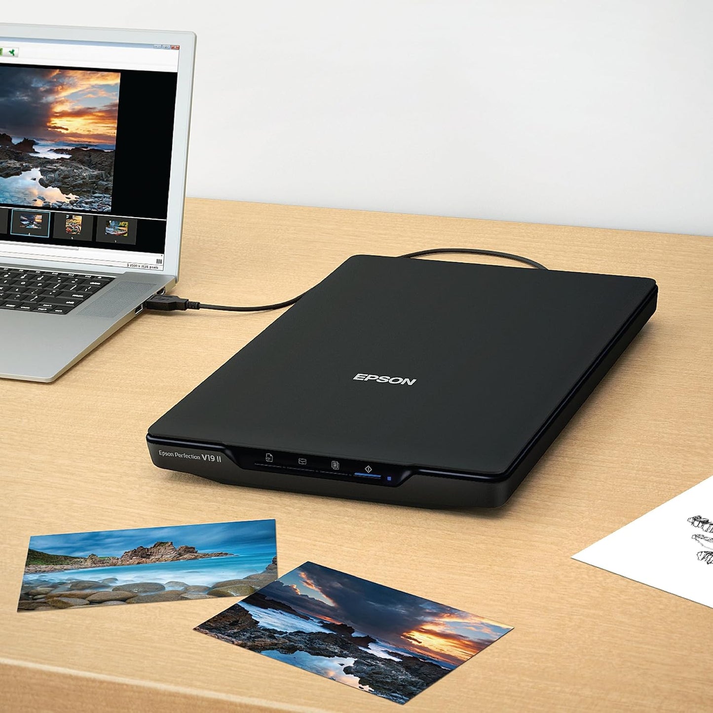Epson Perfection V19 II Color Photo and Document Flatbed Scanner with 4800 dpi Optical Resolution USB Power, High-Rise, Removable Lid
