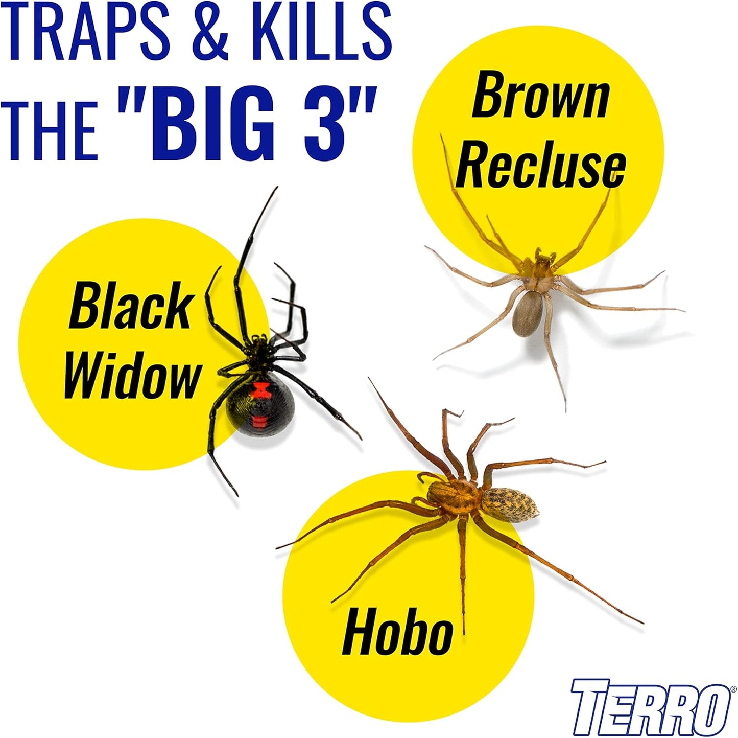 TERRO T3206SR Non-Toxic Indoor Spider, Ant, Cockroach, Centipede, & Insect Traps - Includes 12 Bug Traps Indoor for Homes