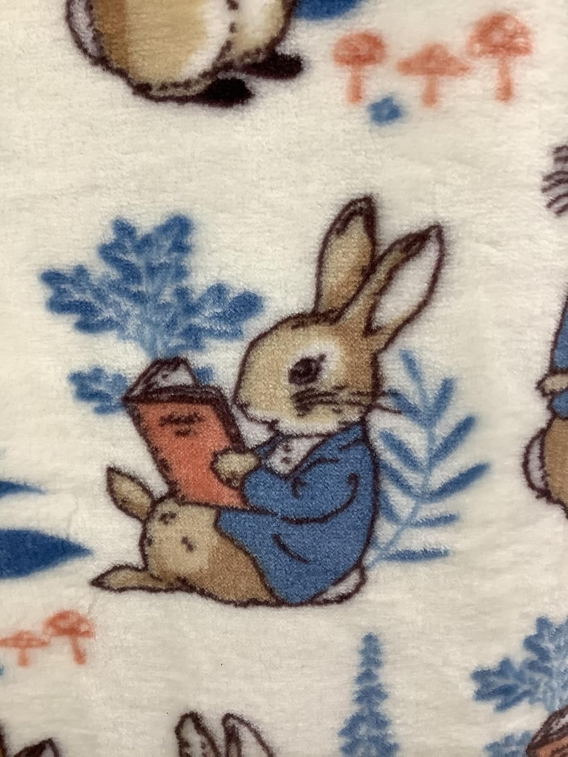 Frederick Warne & Co. Peter Bunny Rabbit Easter Throw Blanket, Off White - Peter Reading, Blue Botanical & Orange Toadstools, 50" x 70"