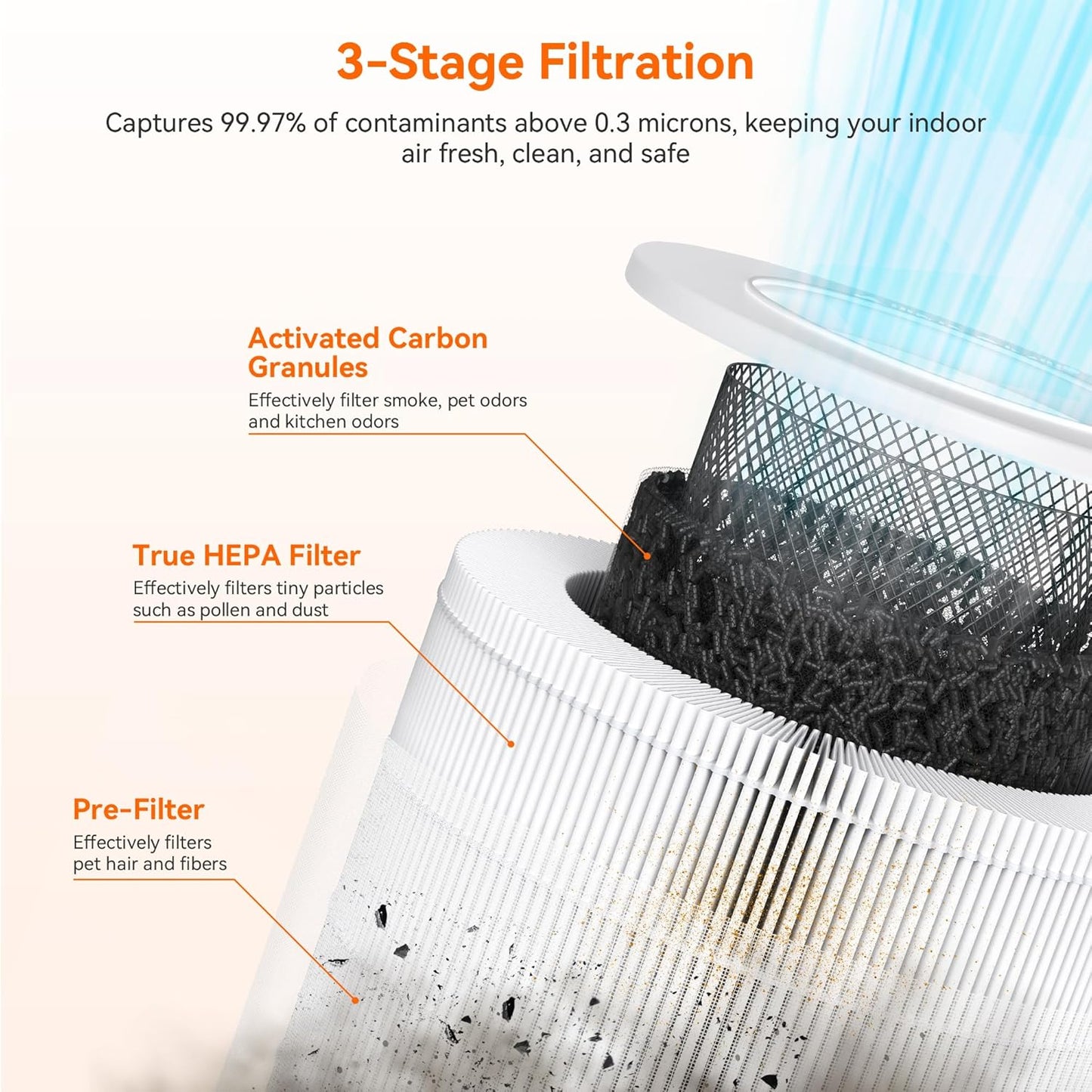 AIRROMI Pet Air Purifier for Home & Bedroom, HEPA Activated Carbon Filter, Removes Pet Dander & Odor, Allergies, Smoke, Hair, Night Light, Fragrance Sponge, Up to 658 ft², A2002 Black