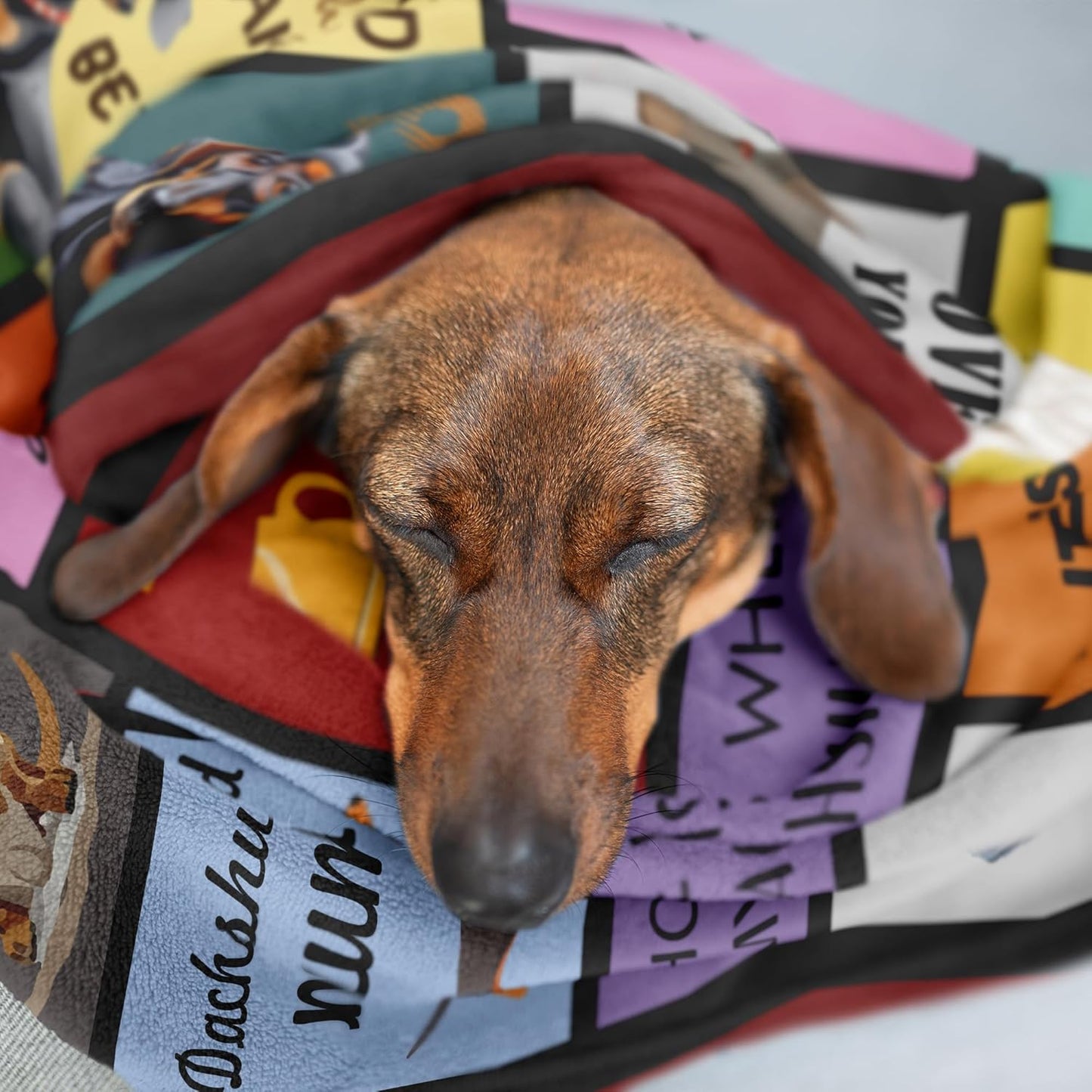 Christmas Dachshund Gifts, Dachshund Gifts for Women, Dachshund Blanket 50" X 60", Weiner Dog Gift for Women, Christmas Birthday Dachshund Lovers Gifts, Weiner Decor Throw