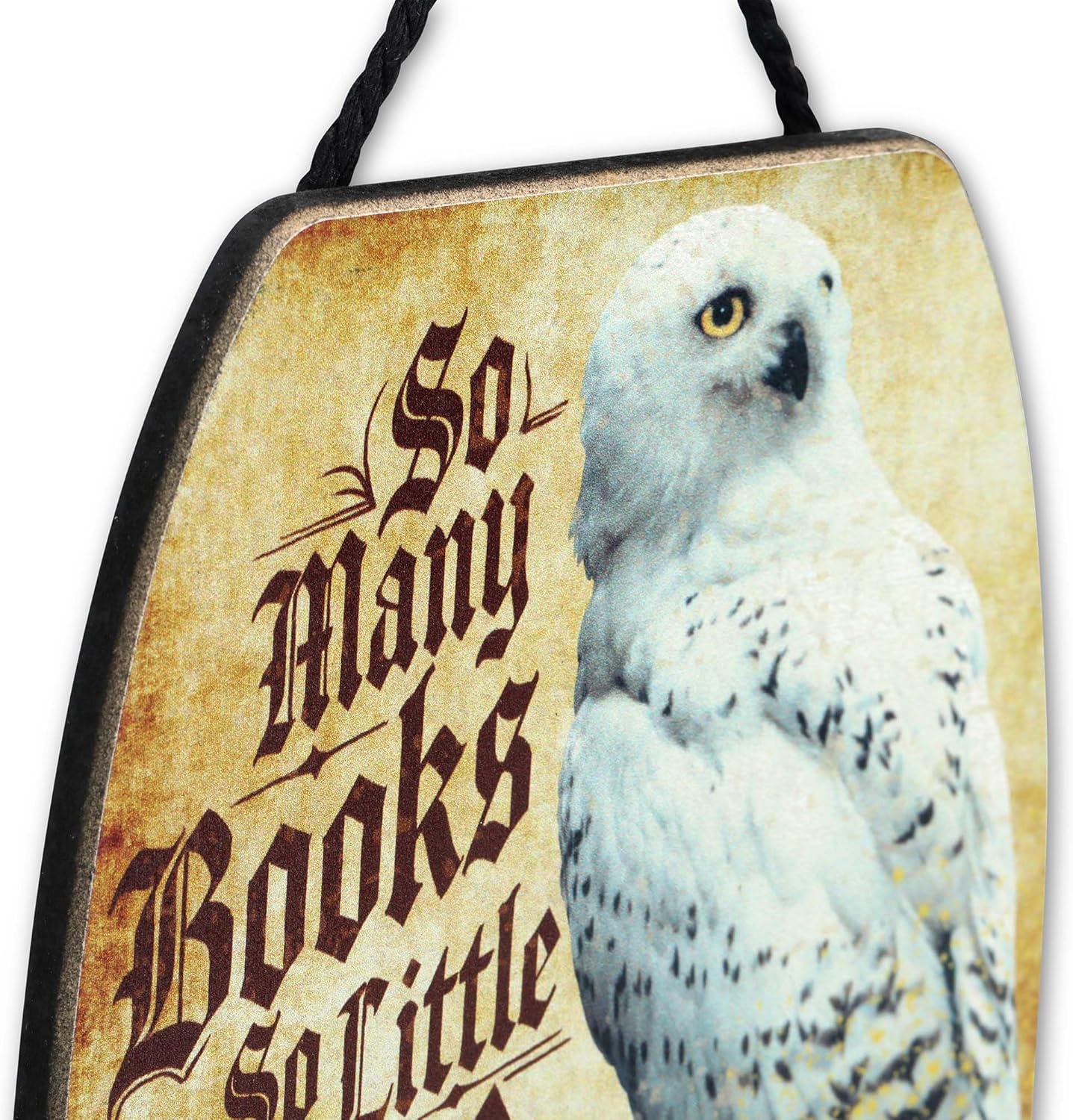 Harry Potter So Many Books So Little Time Hanging Wood Wall Decor - Fun Hedwig Sign for Bedroom or Library