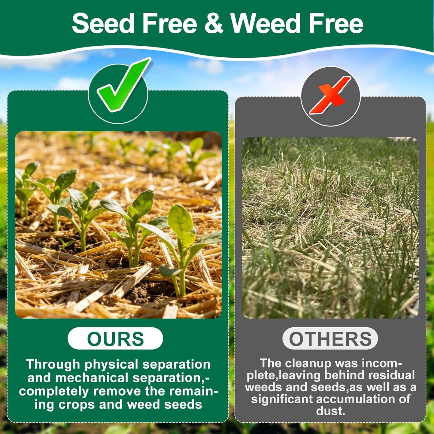 PJT Organic Garden Straw,Biodegradable Straw Mulch for Vegetable Garden,Hay for Grass Seed Covering,Mulch for Landscaping Seed Covering,Thoroughly Cleaned and Weed Seed Free(0.5 cu ft,4 lbs)