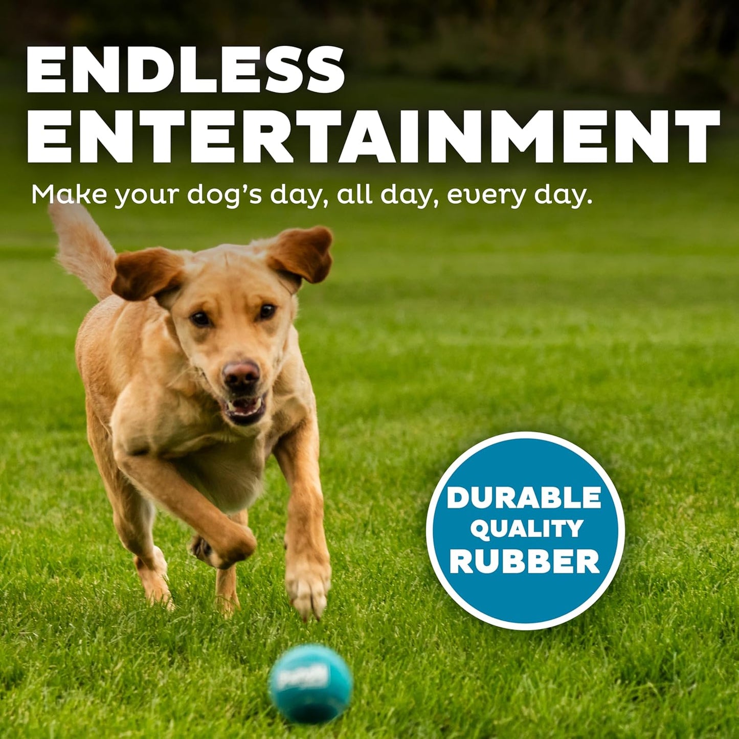 Outward Hound Squeaker Ballz – Squeaky Tennis Balls for Dogs Under 50 lbs, Interactive Dog Toy for Fetch & Training, Medium (2.5"), 4‑Pack