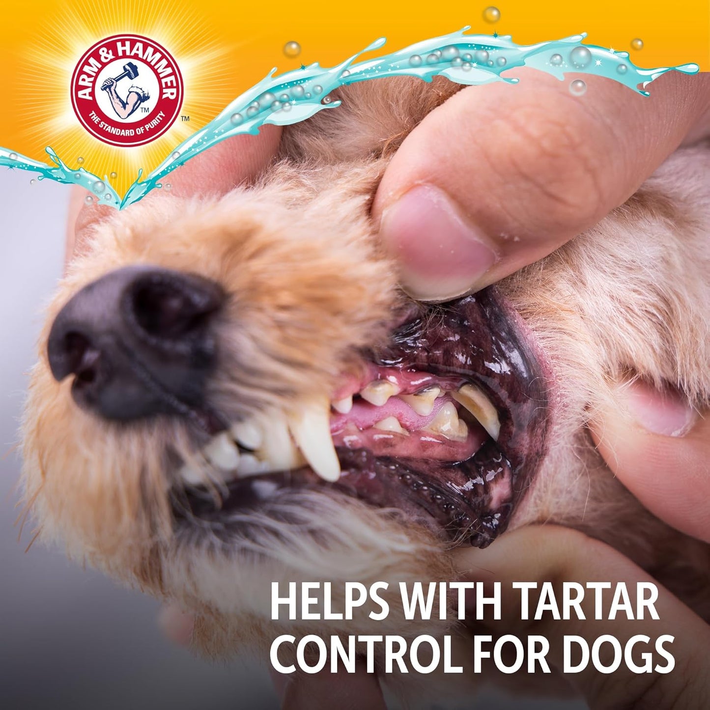 Arm & Hammer Dog Dental Water Additive Breath Freshener, Odorless Flavorless Oral Care Solution for Plaque and Tartar Control, Daily No Brush Dental Support for Dogs, 16 Fl Oz