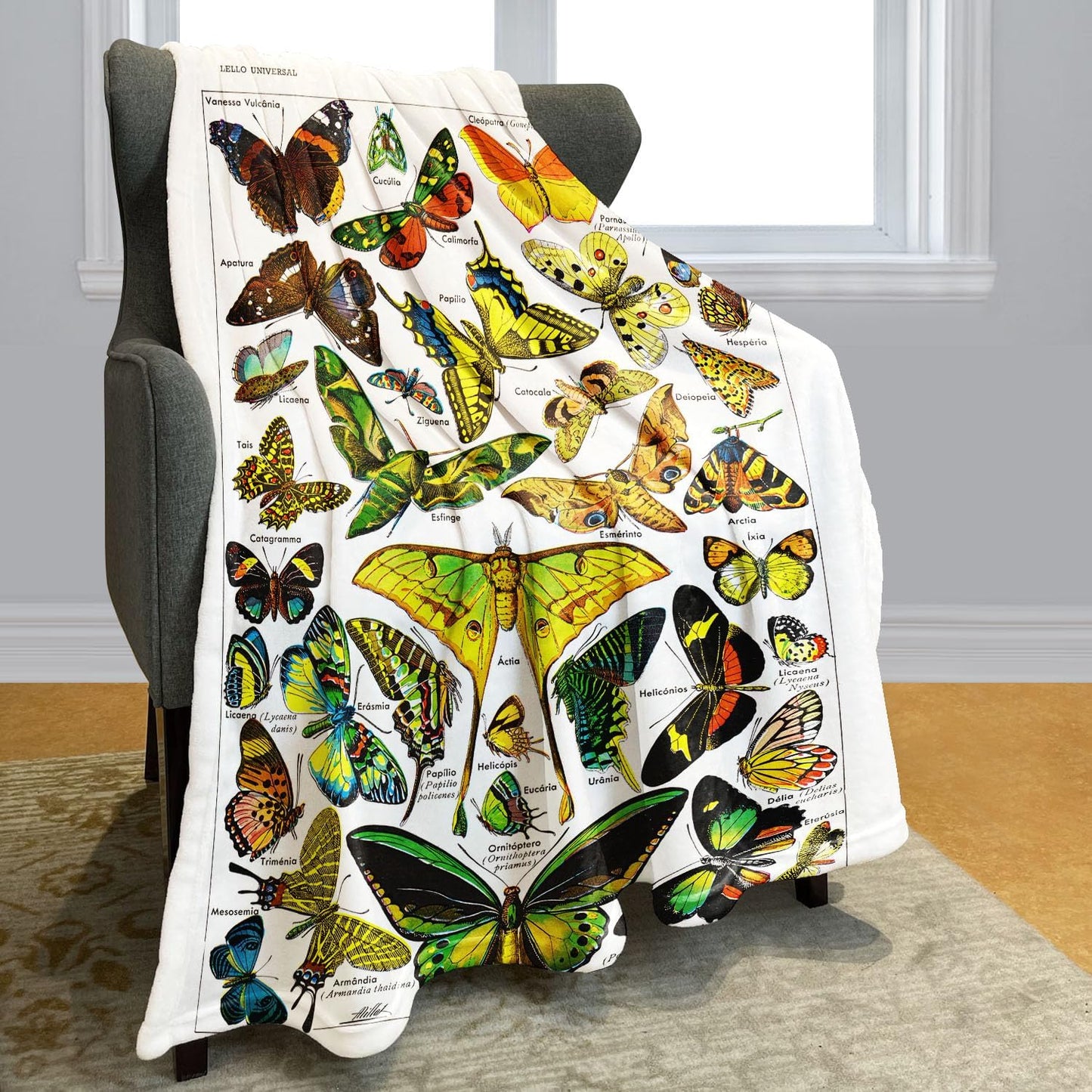 SXCHEN Butterflies Throw Blanket 60" x 80" Plush Blankets for Couch Sofa Bed,Soft Cozy Warm Lightweight Fuzzy Throws with Classic Moths Species Introduction Gift for Gardeners and Entomologists