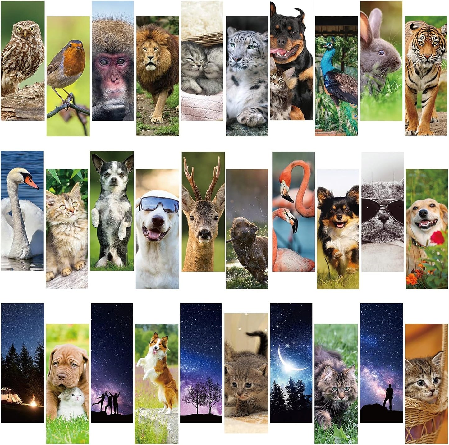 Chinco 120 Pieces Bookmarks for Kids Set Gifts Inspirational Motivational Paper Bookmarks Pack for Book Lovers Adults Teacher Women Funny Reading Gifts(Vivid Animal)