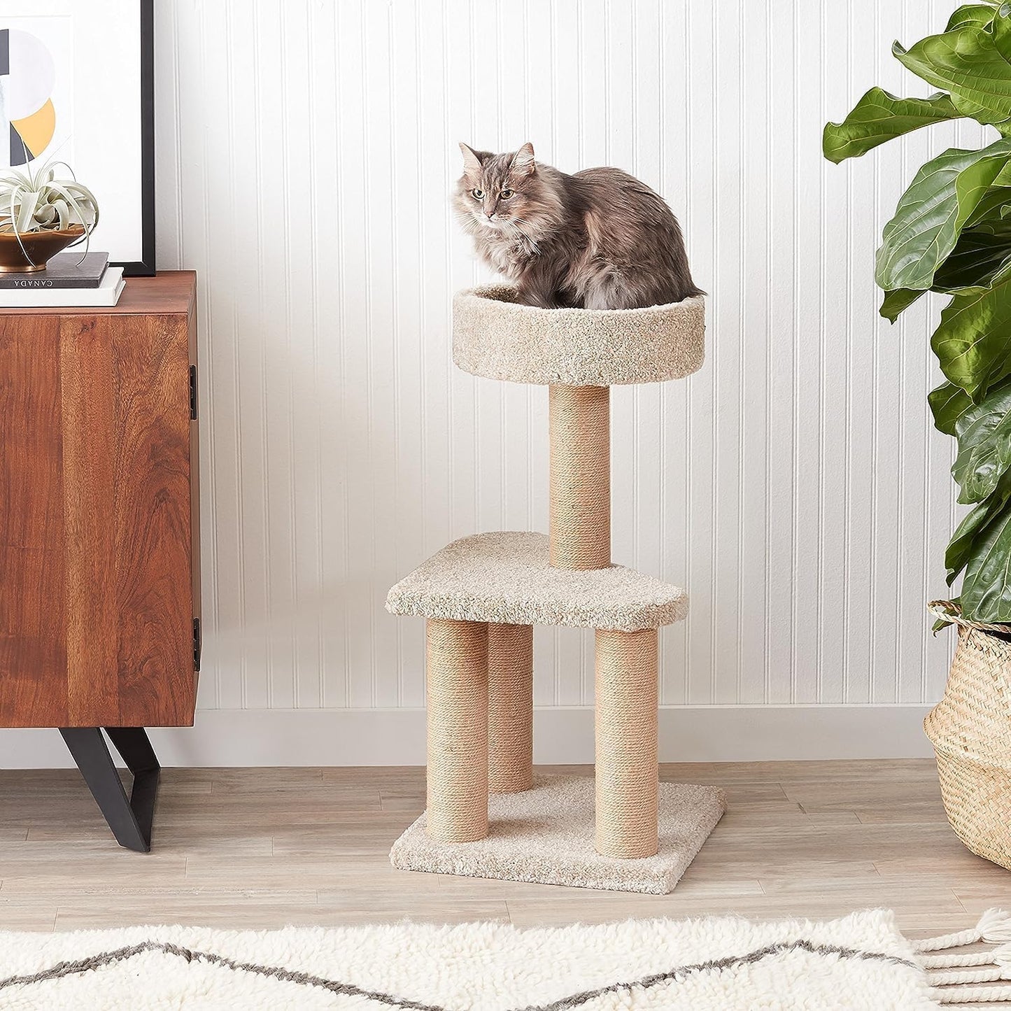 Amazon Basics Cat Tree - Multi-Level Climbing Activity Tower with Jute Rope Scratching Posts for Indoor Cats & Kittens, Medium (31.5"H), Beige