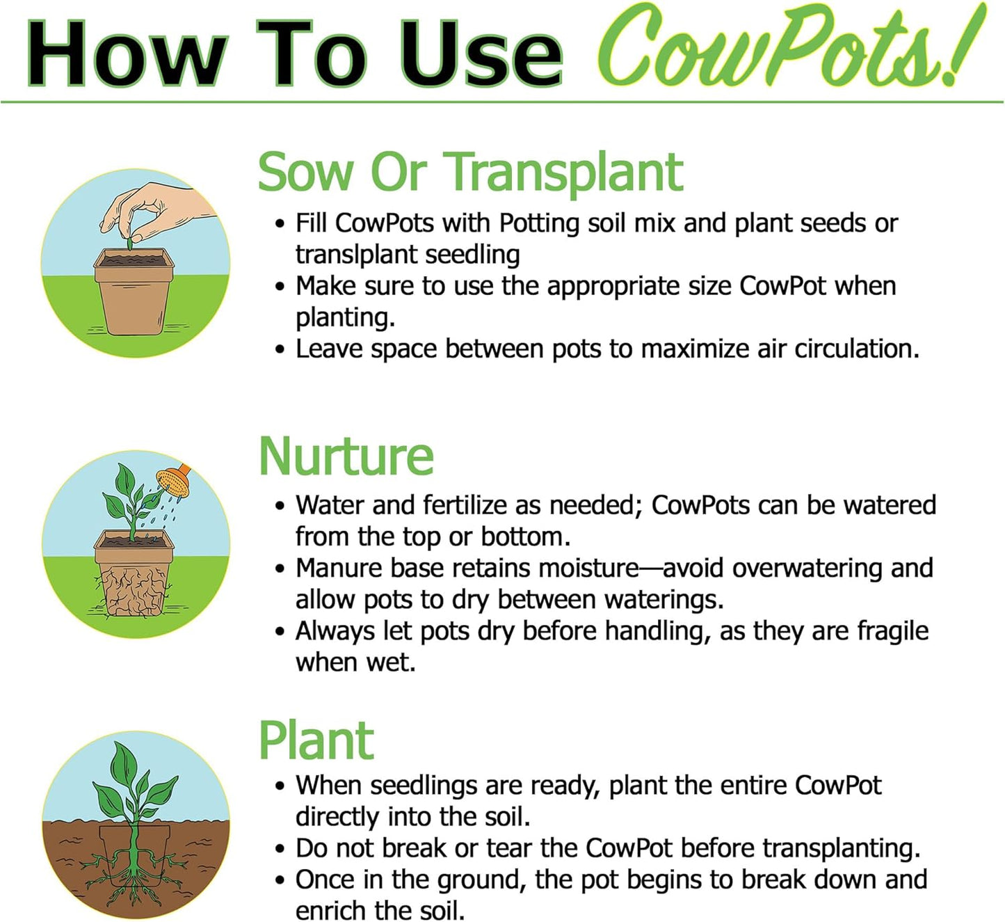 Park Seed CowPots 4-inch Tall Square Nitrogen-Rich Plant Seedling Starter, Set of 12