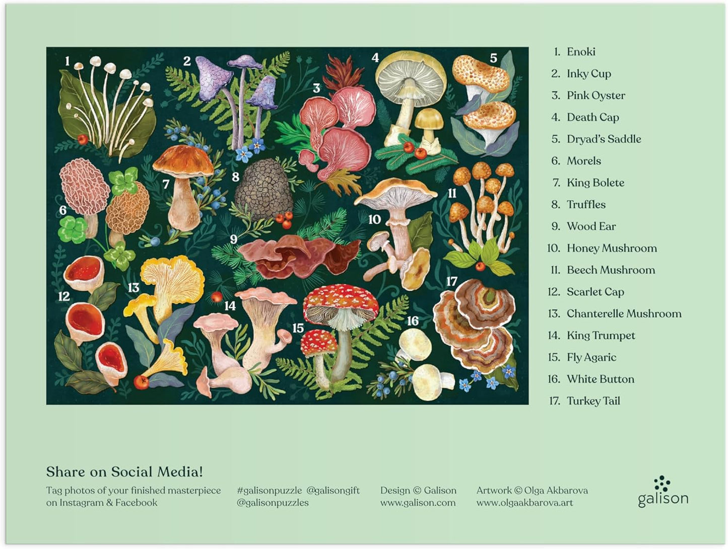 Galison World of Mushrooms – 1000 Piece Jigsaw Puzzle Featuring Beautiful Painted Artwork of A Mushroom and Fungi Collection