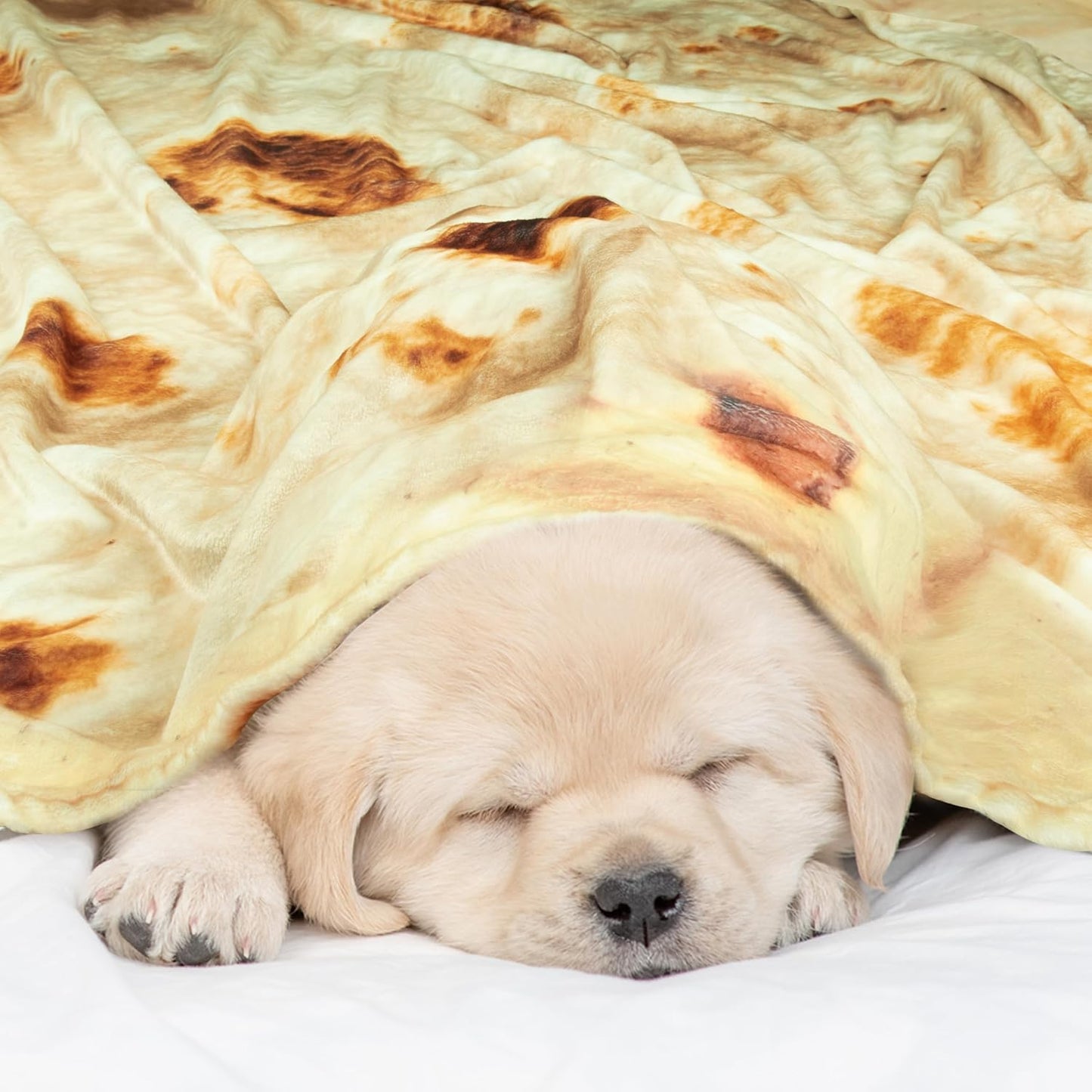 QiyI Burritos Tortilla Throw Blanket for Adult and Kids, 2.0 Double Sided Giant Food Blankets, Funny Tortilla Gifts, 60" Novelty Round Wrap Blanket, 300 GSM Warm Soft Flannel Taco Blanket, Yellow