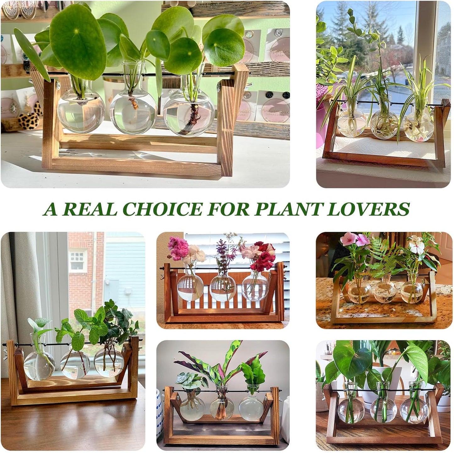 Plant Propagation Stations with Wooden Stand & 3 Glass Bulb Vases - Plant Terrarium for Indoor Plants, Home Office Desk Decor, Gardening Gifts for Women Mom, Birthday Gifts for Plants Lovers