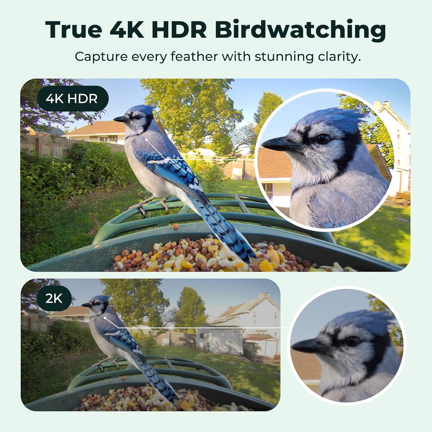 Smart Bird Feeder 4K AI Camera With Solar Panel For Outdoors, Bird Species Identification, 8MP Photos, 4K Video Livestream, Real-Time Bird Alerts, Birdwatching Gifts For Bird Lovers, Sage Pine