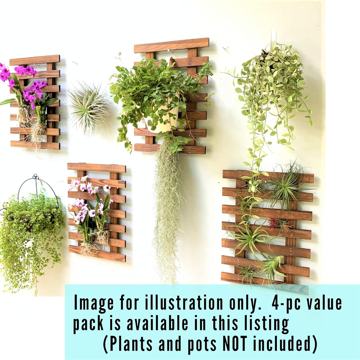 ShopLaLa Wall Planter – Wooden Air Plant Succulent Holder Hanger Indoor Outdoor, Live Orchid Wall Wood Display Frame Vertical Garden Balcony Deck Bathroom Macetas para Plantas De Aire 15.7" (40cm)
