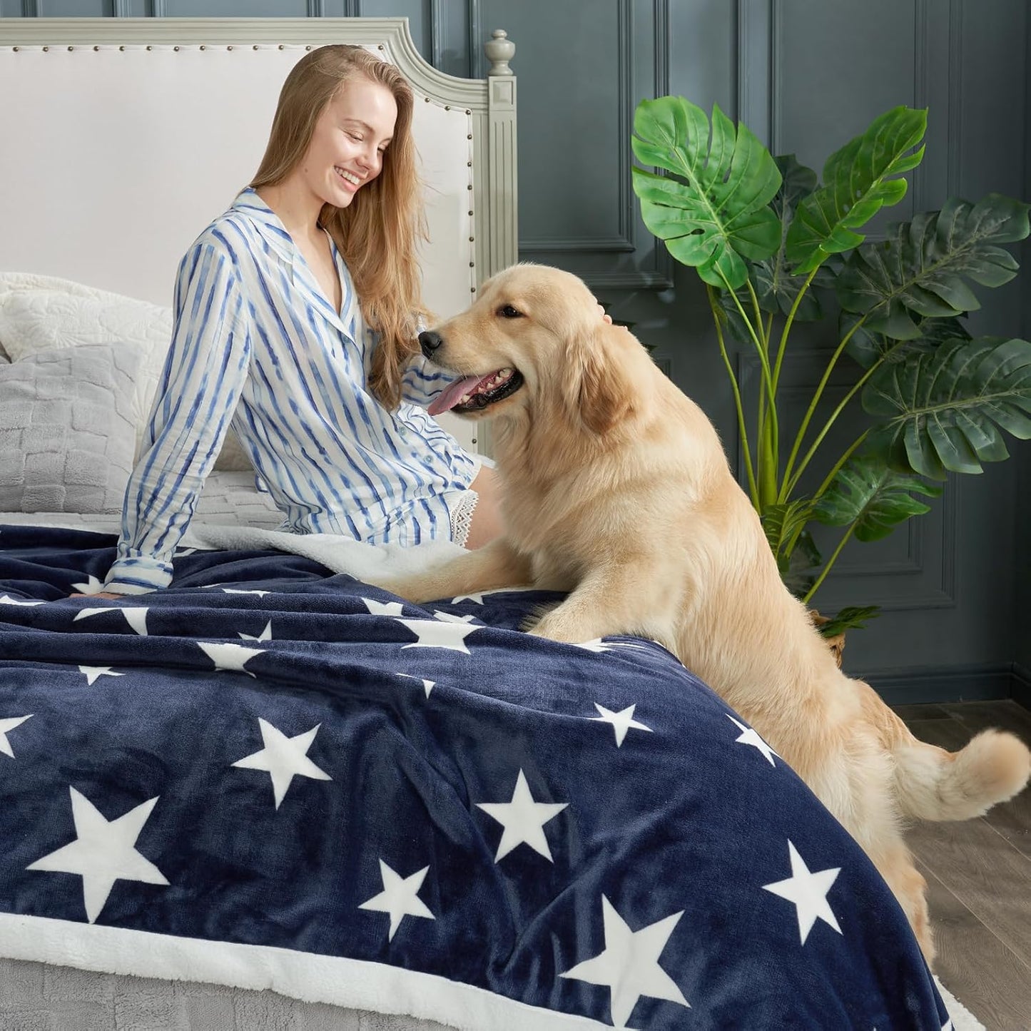 Cozy Bliss Luxury Sherpa Throw Blanket for Couch, Premium Reversible Thick Throw with Star Design, Warm Cozy Soft Blanket for Home and Gifts (Navy Blue, 60" x 80")