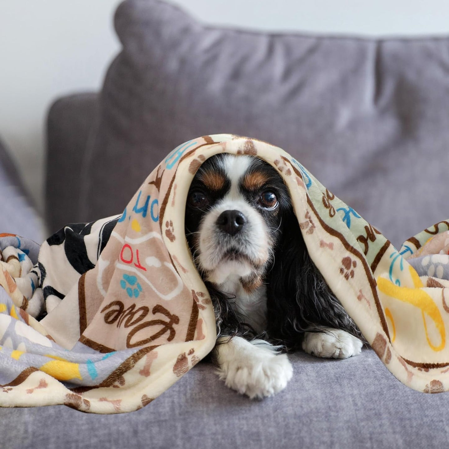 Dog Mom Gifts for Women, Funny Dog Lover Throw Blanket with Cute & Inspirational Quotes, Soft Cozy Fuzzy Flannel Blanket for Pet Lovers, Friends, and Family (50" x 60")